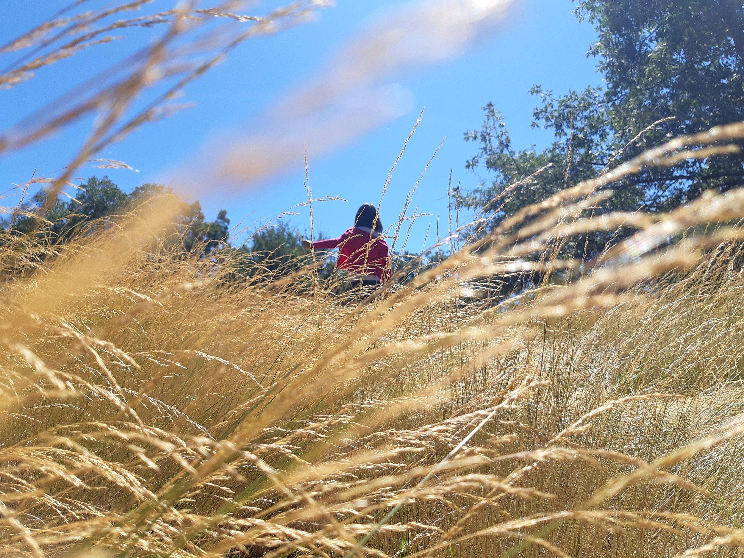 Encuentra el camino Monte Valonsadero, Soria#Stella Noviani 81