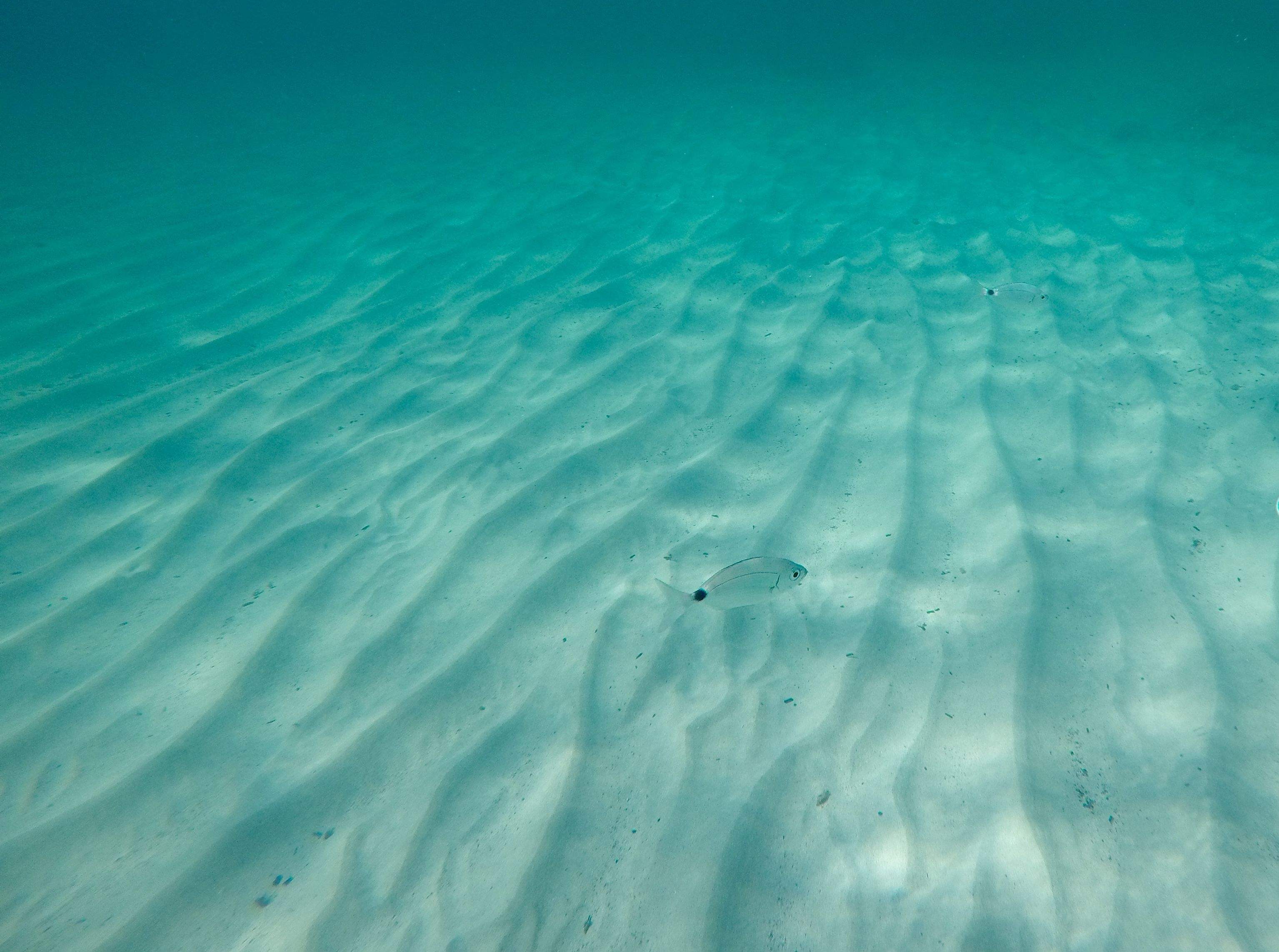 Entre dunes de sorra. Es Calo Blanc, Menorca#Judit Escribano Camarero 133