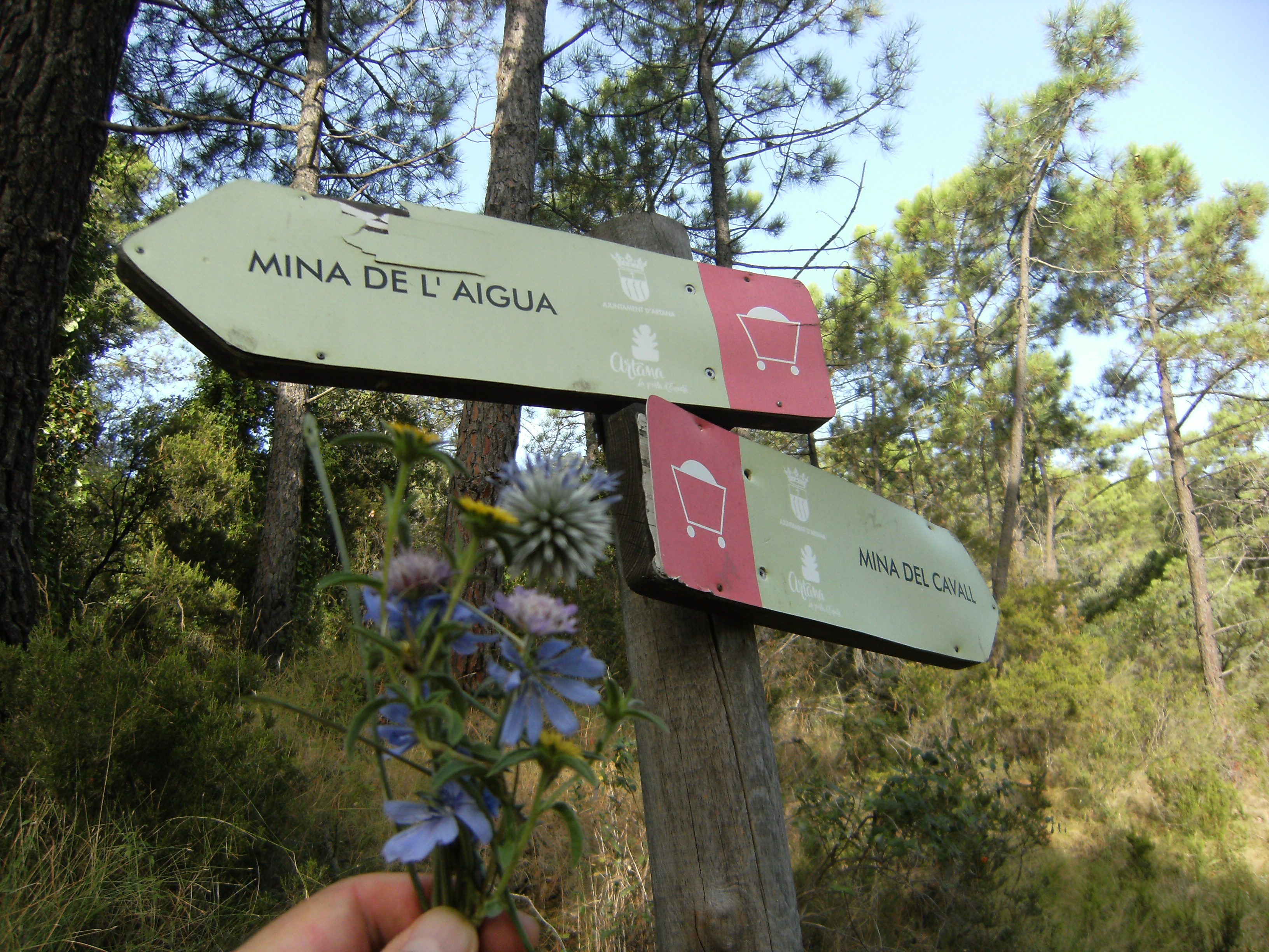 Entre mines i flors Artana (Castelló)#Jorge Pruna Urbina 140