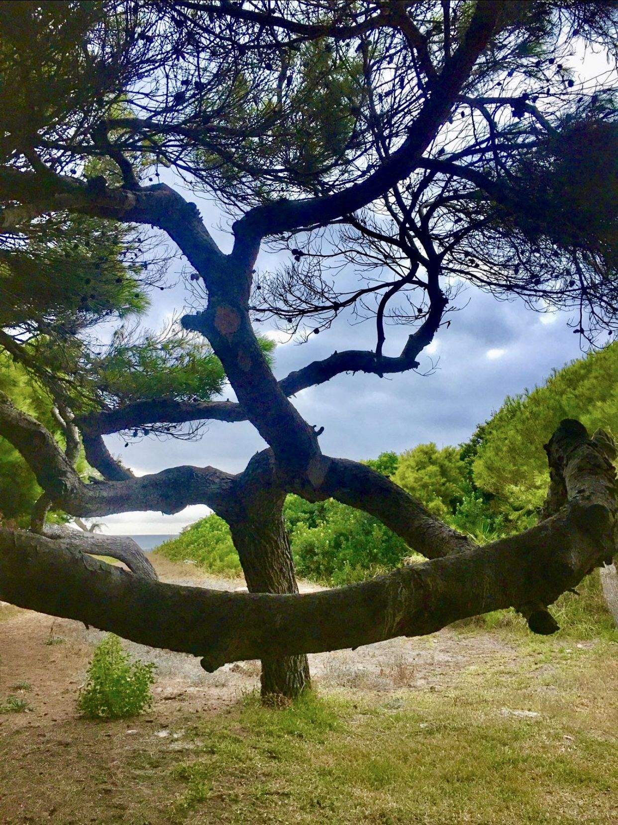 Equilibri Platja de Muro, Mallorca#Montse Carreras Boix 98