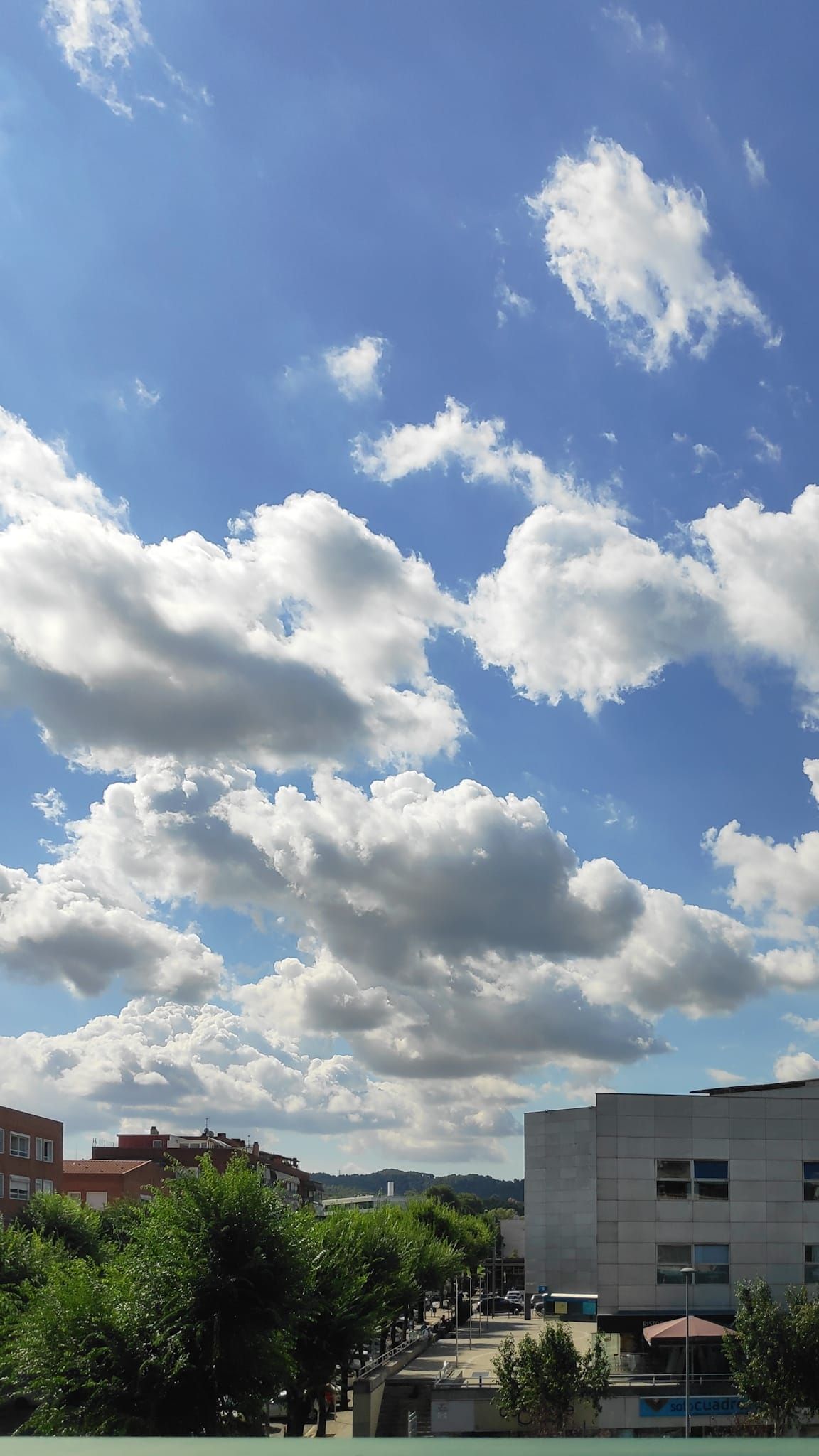 és com tot Rambla del Celler, Sant Cugat del Vallés#Susana Rubió García 130