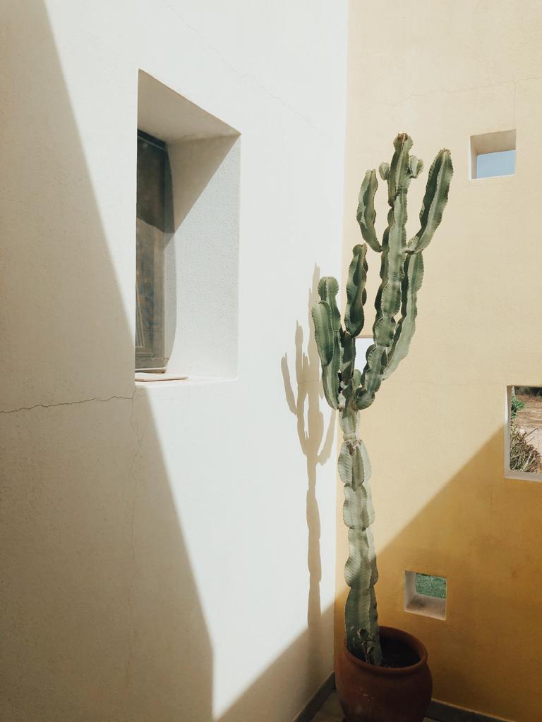 Es Pou Formentera#Paula Ferrer Estadella 72