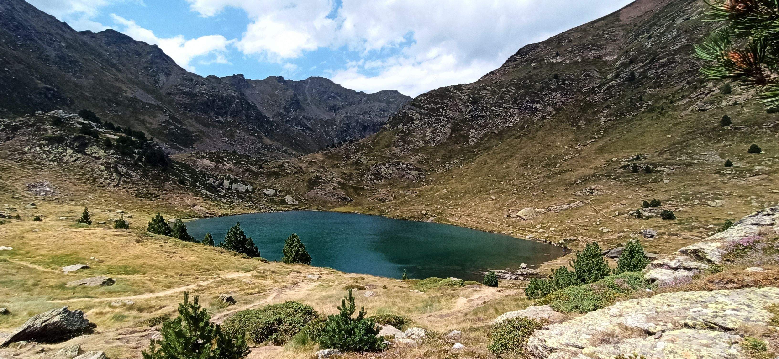 Espacio Llacs de Tristaina#Daniel Vera Zambrano 341