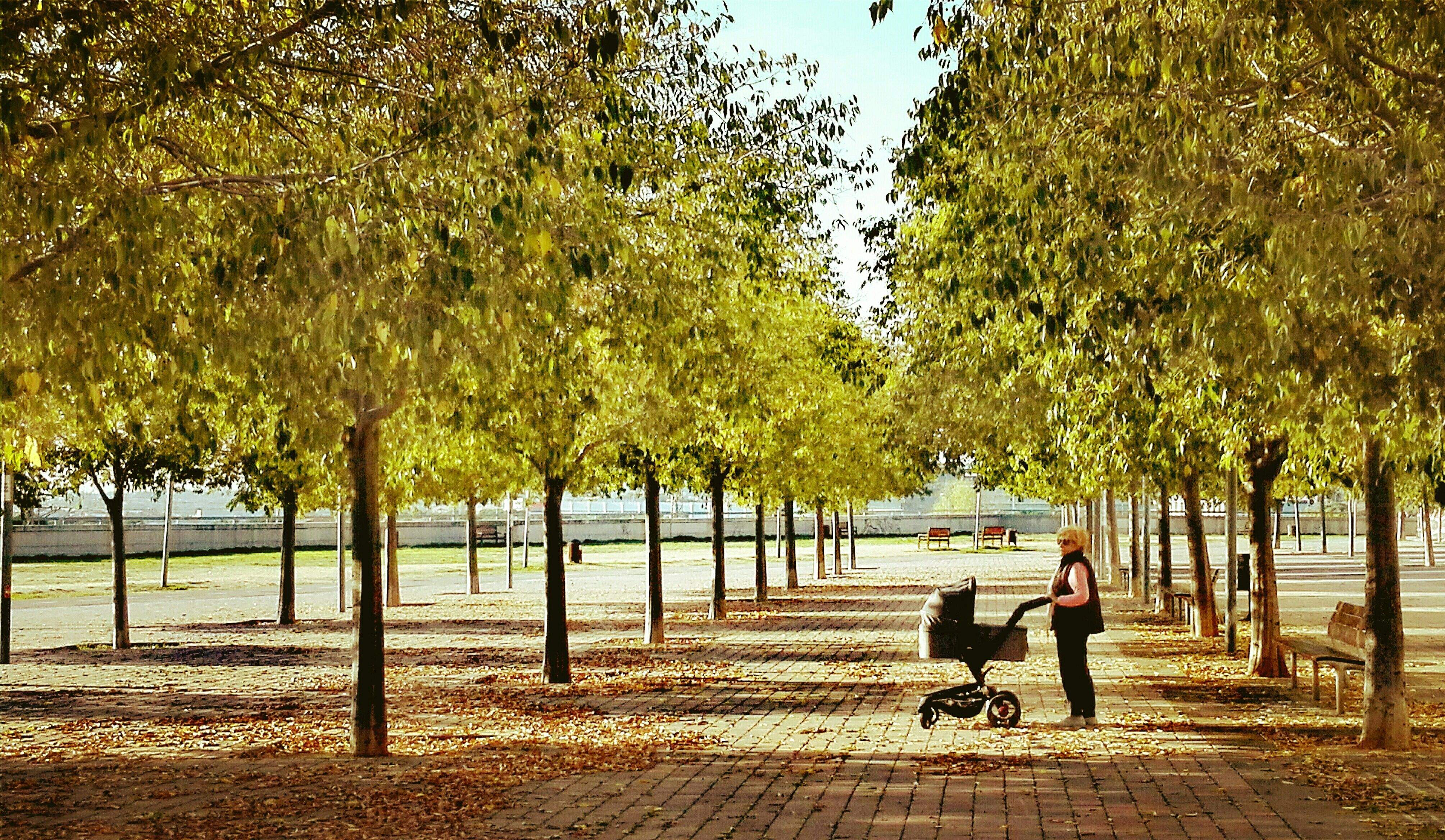 Family Sant Cugat#Juan Carlos Fontana 229