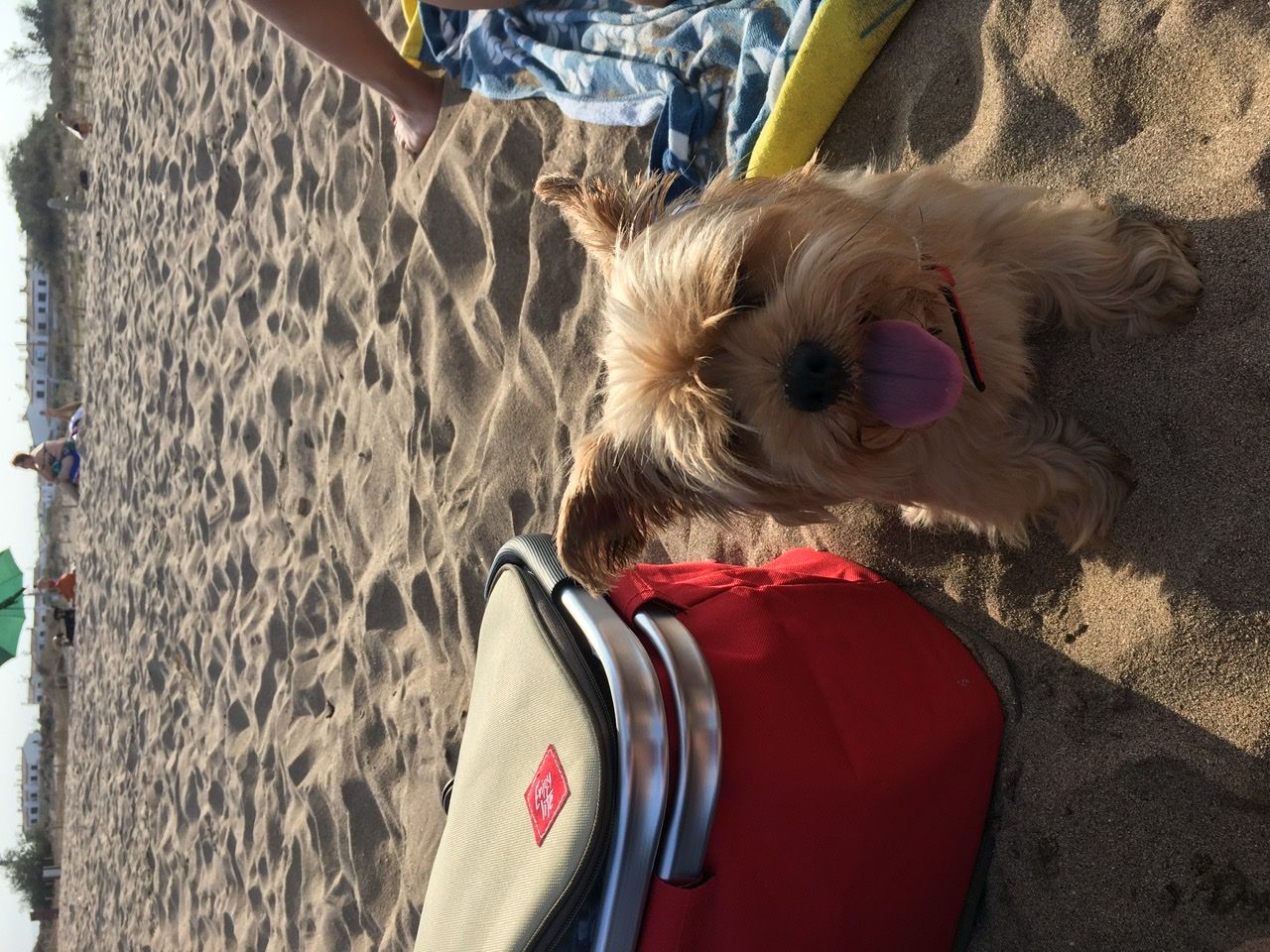 Felicidad playera L’Estartit#Ana Zamora 117