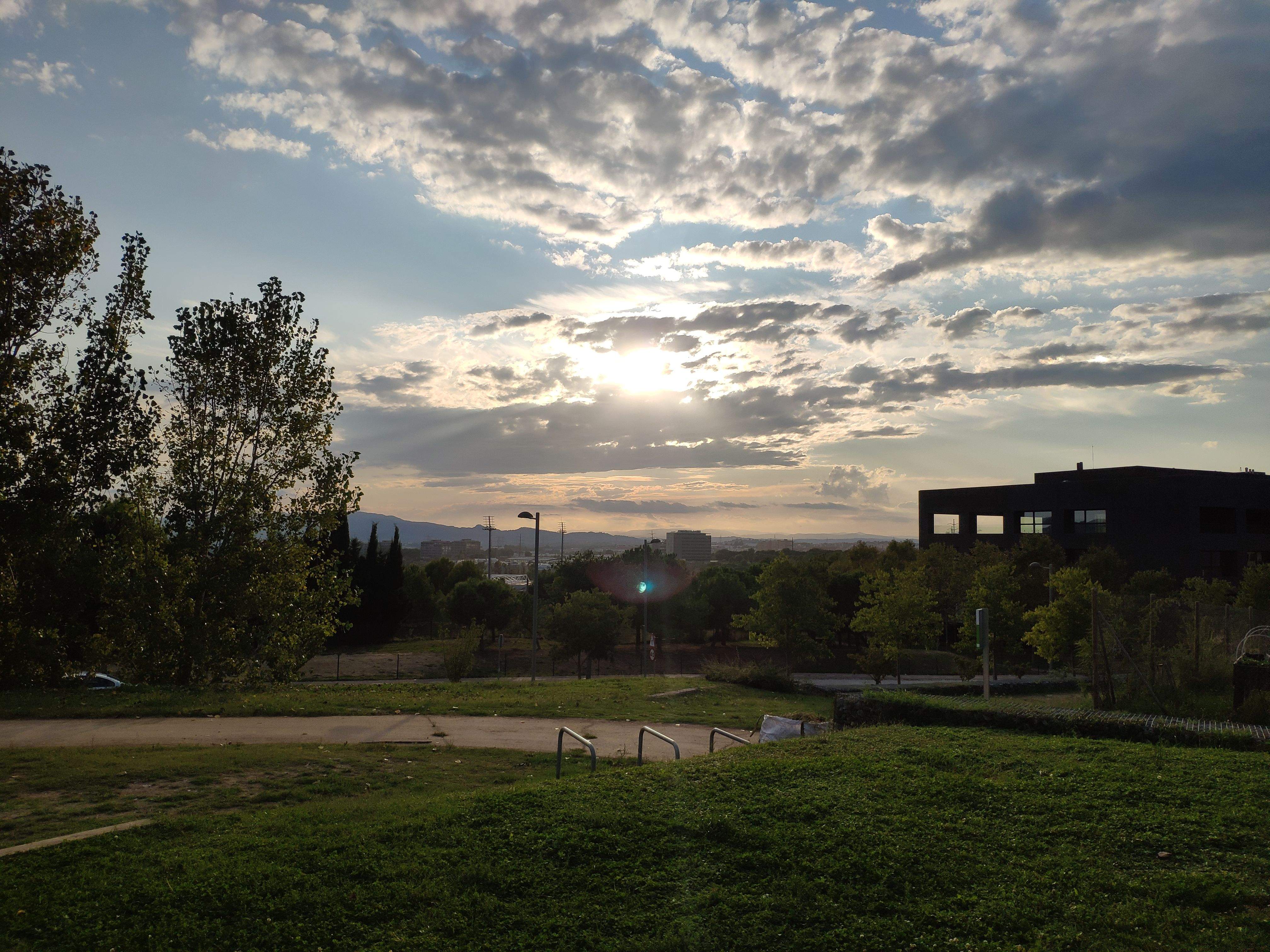 Final d estiu Volpelleres#Josep Riart i Soler 280