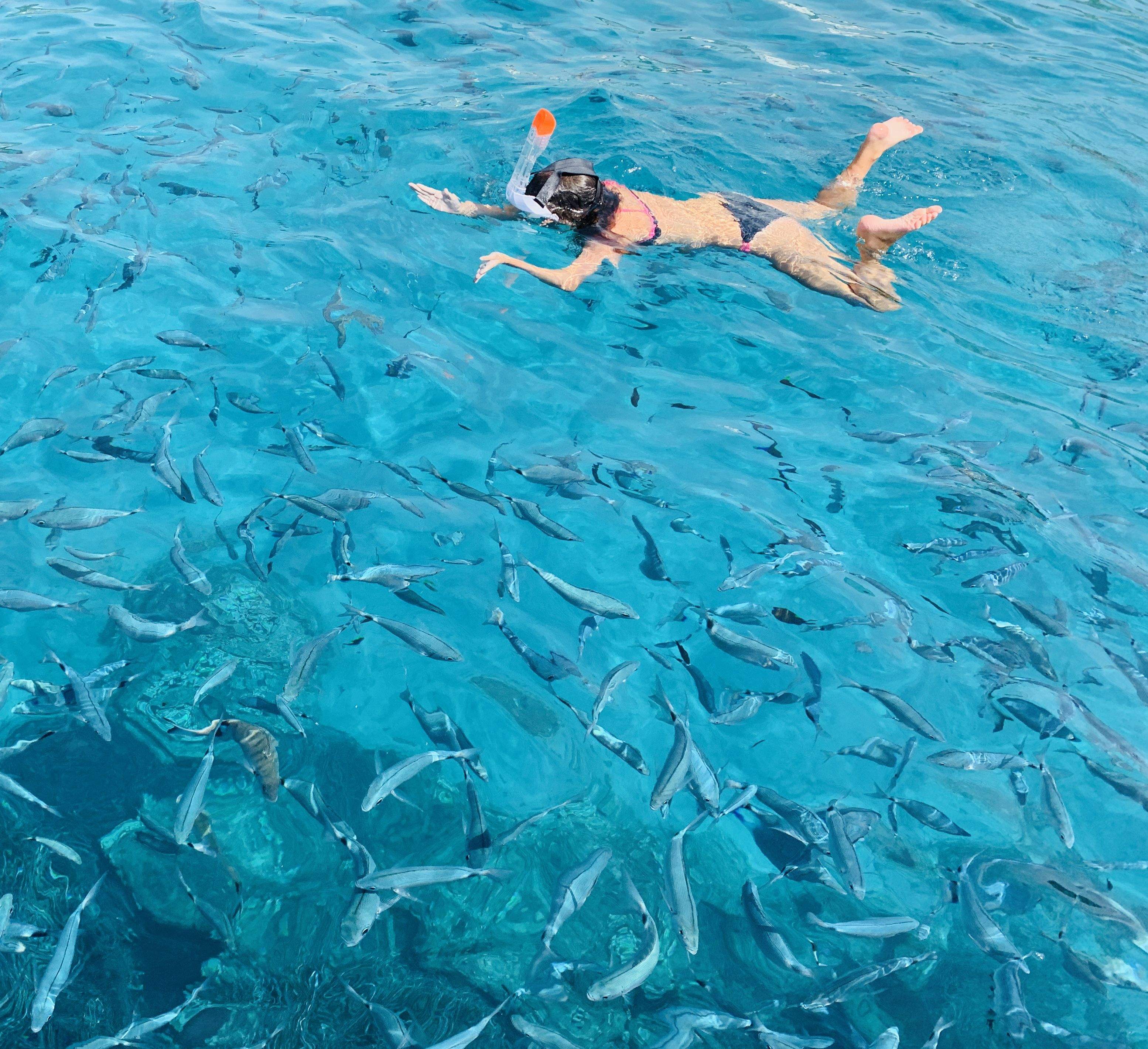 Gaudint amb peixos Cala Fornells, Mallorca#Marta Mogensen Barcelona 305