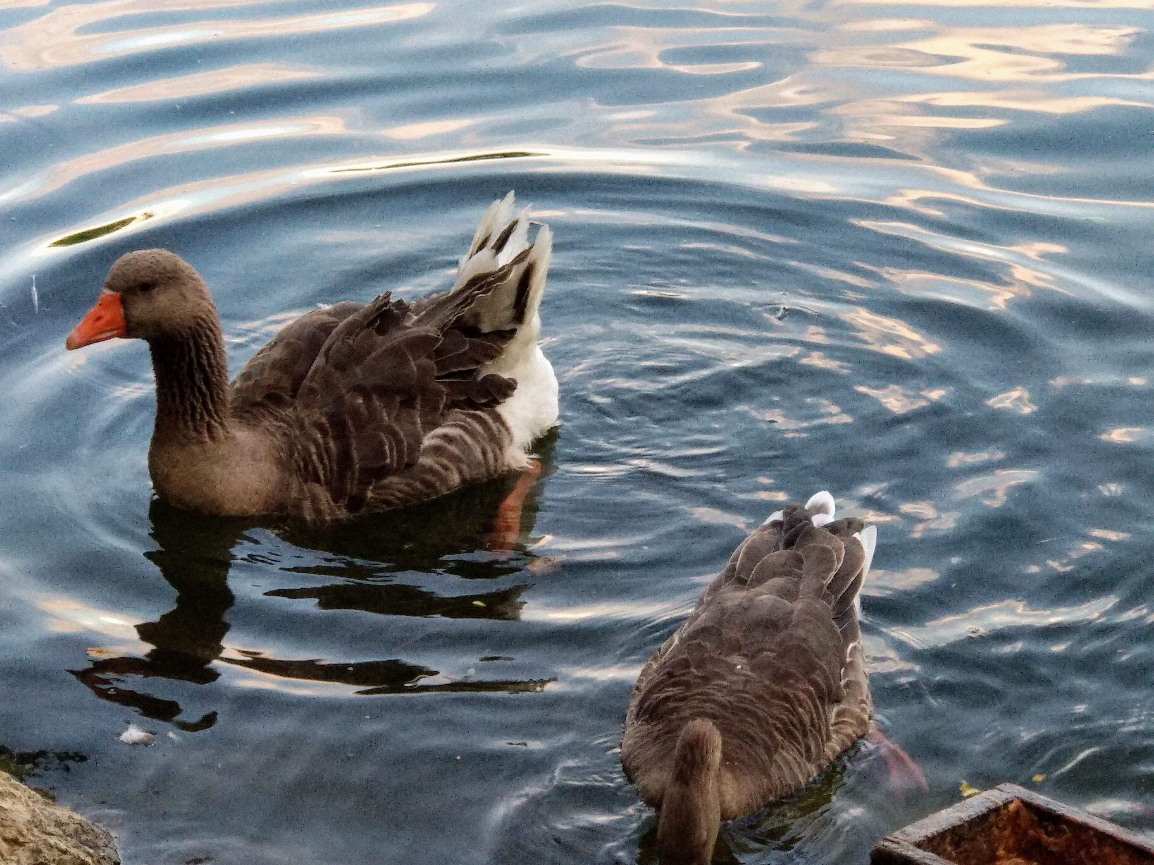 GENERACIONS SANT Cugat#Marta MOTGER MALLOL 337