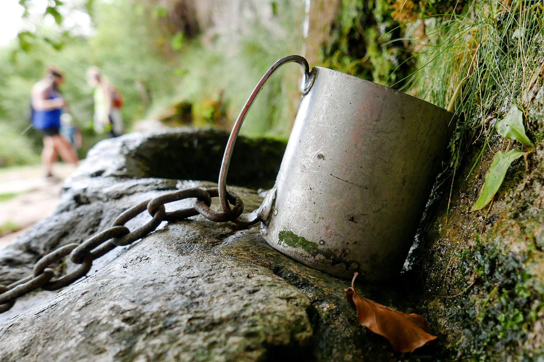 L aigua per tots Monte Txarlazo#Mayte Cortina Martínez 184