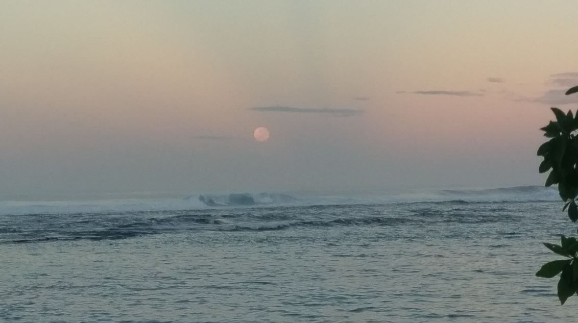 La lluna la pruna Samoa#Manuel Marusso 205