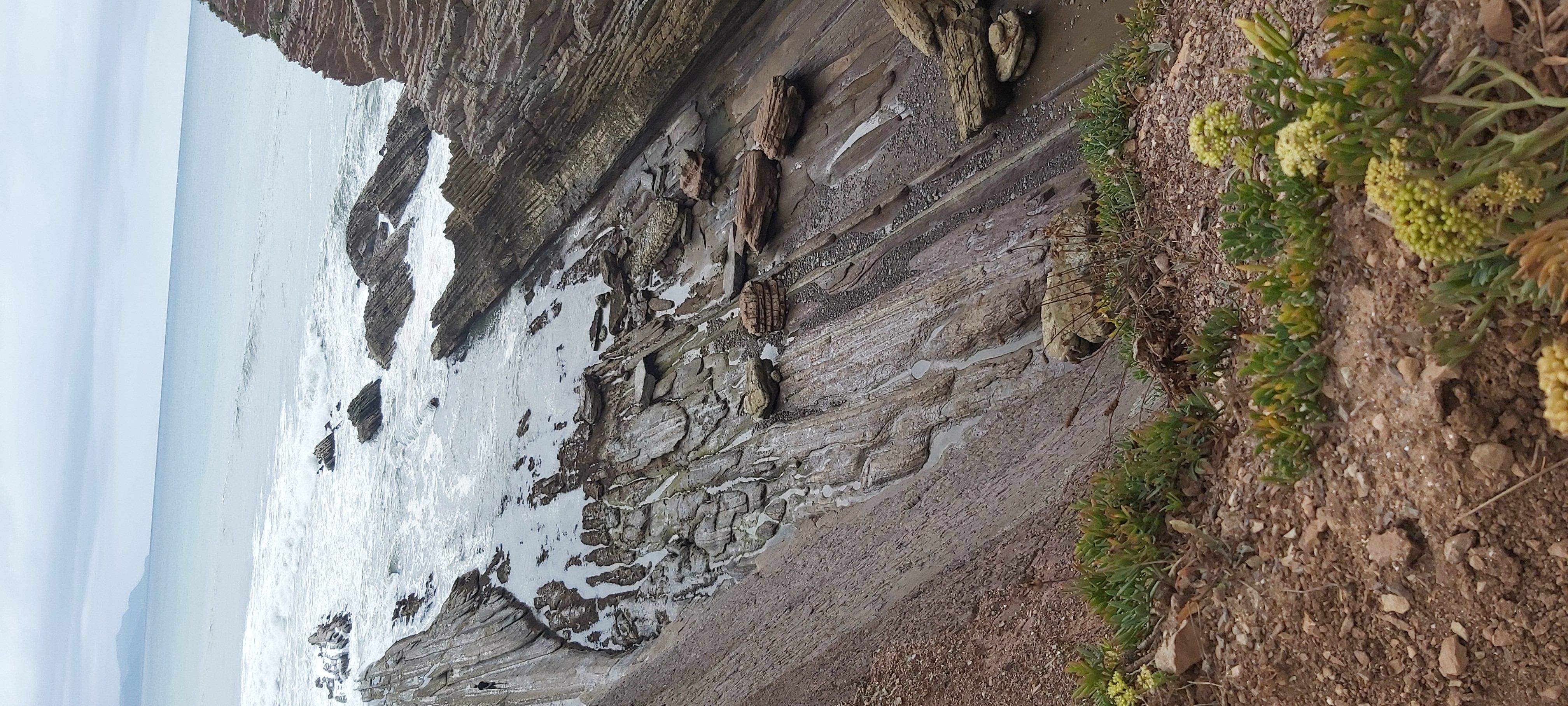 La màgia de la natura Zumaia#Eva M Rodriguez Loba 315