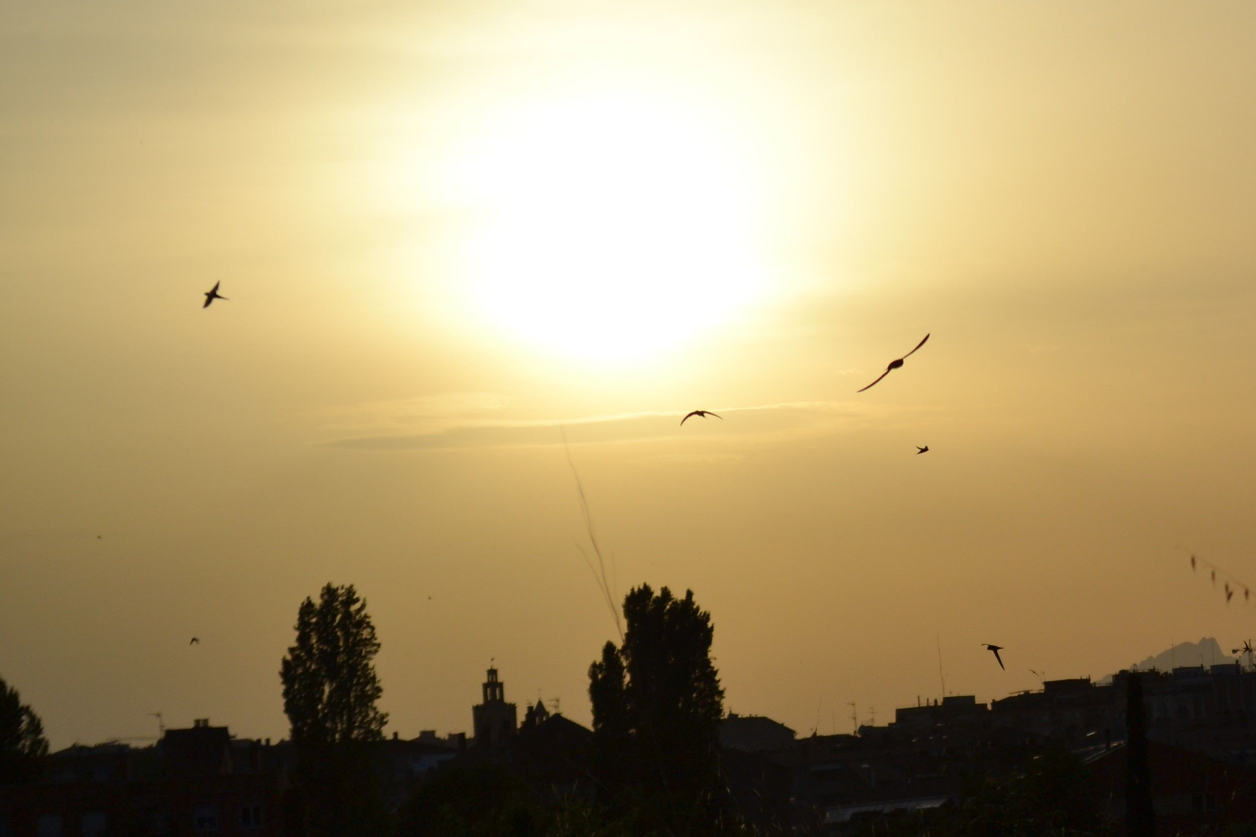 La merienda Sant Cugat del Vallés (Pi d en Xandri)#Teresa Rodríguez 232