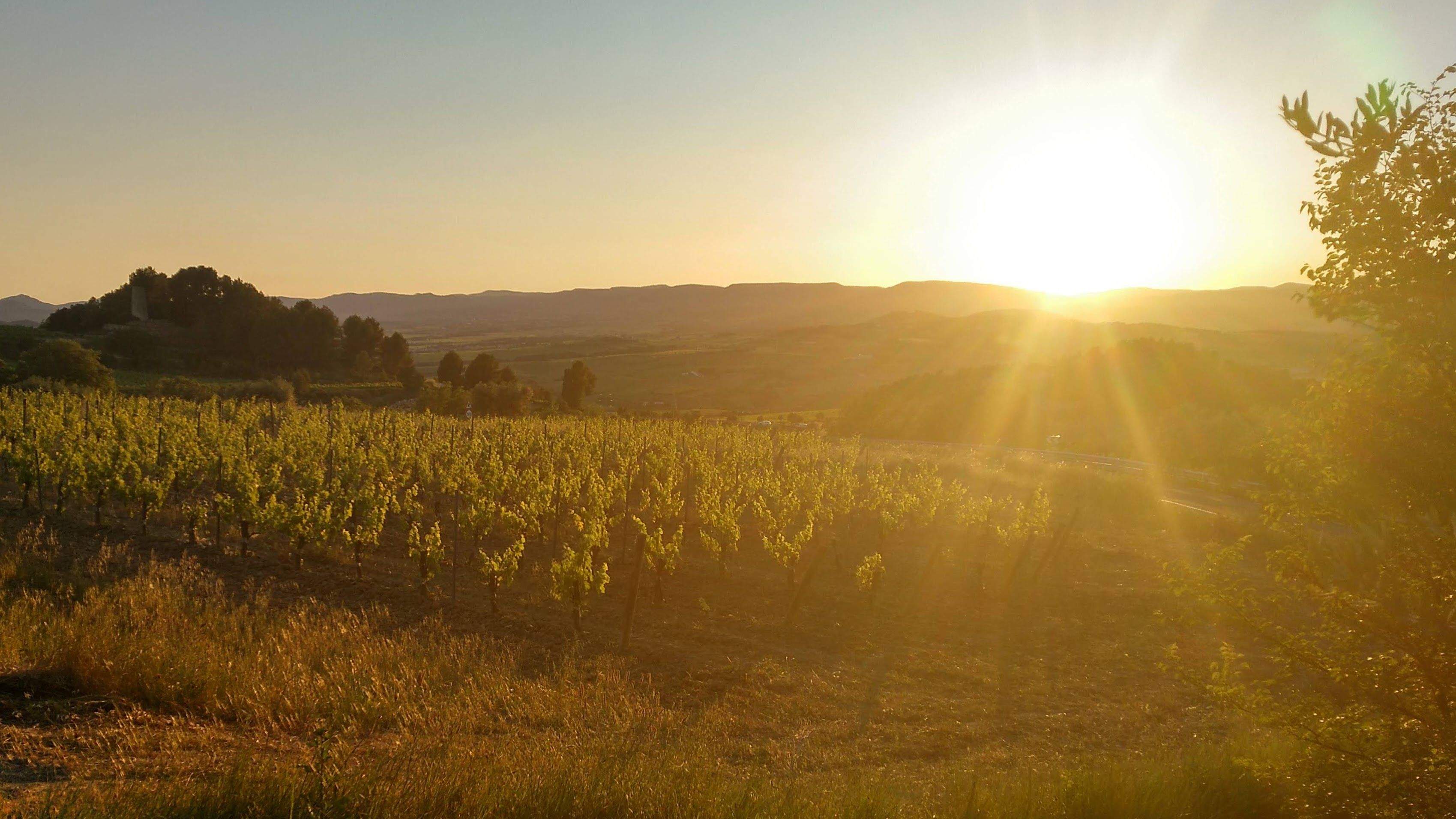La posta a les caves Mirador de les caves#Pau Figueras 148