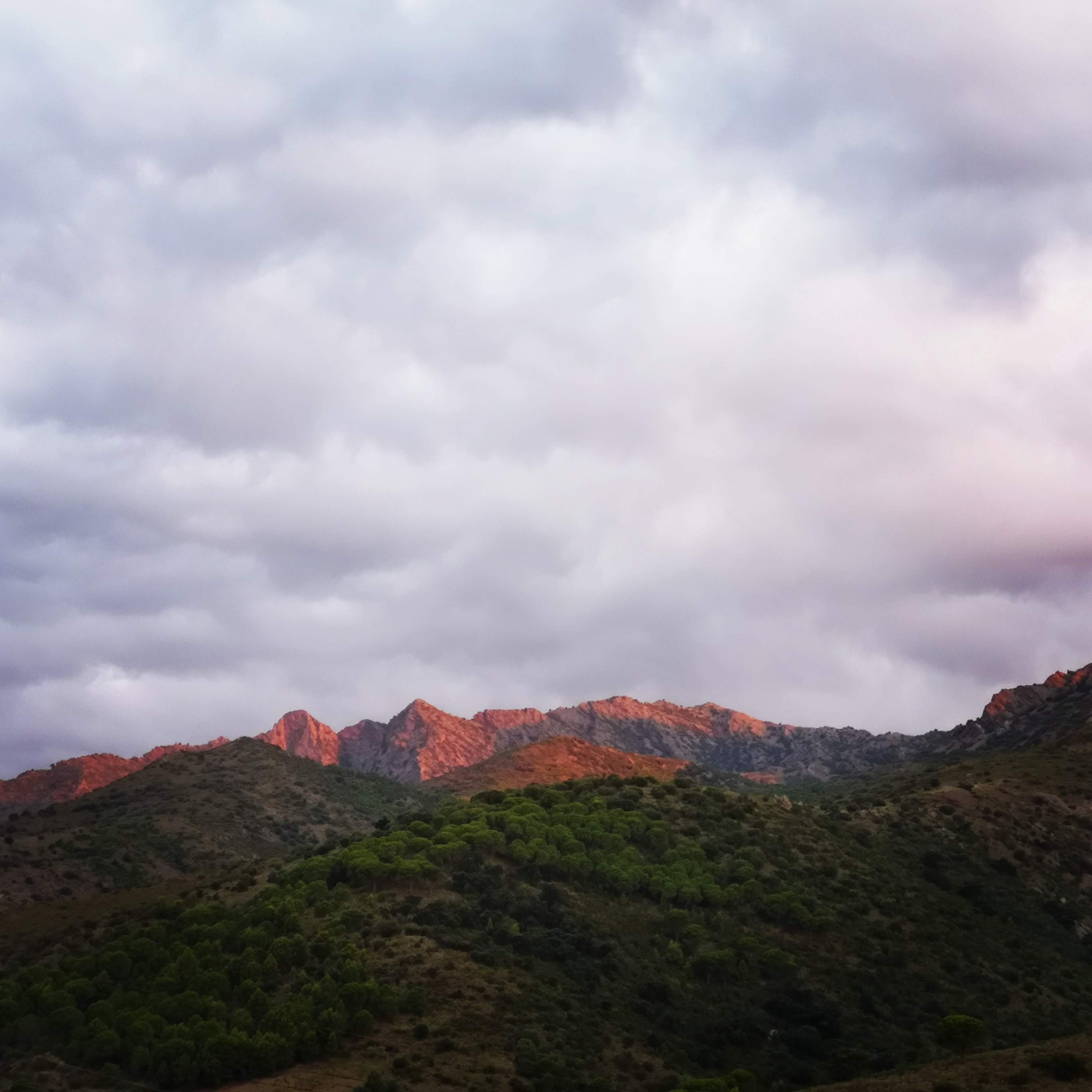 Les Barbes del Boc COLERA (GIRONA)#MARC FERRER DALMAU NOGUERAS 359