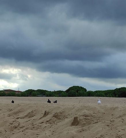 Mantenin les distàncies Santa Susanna#Eva Amaro Quirós 113