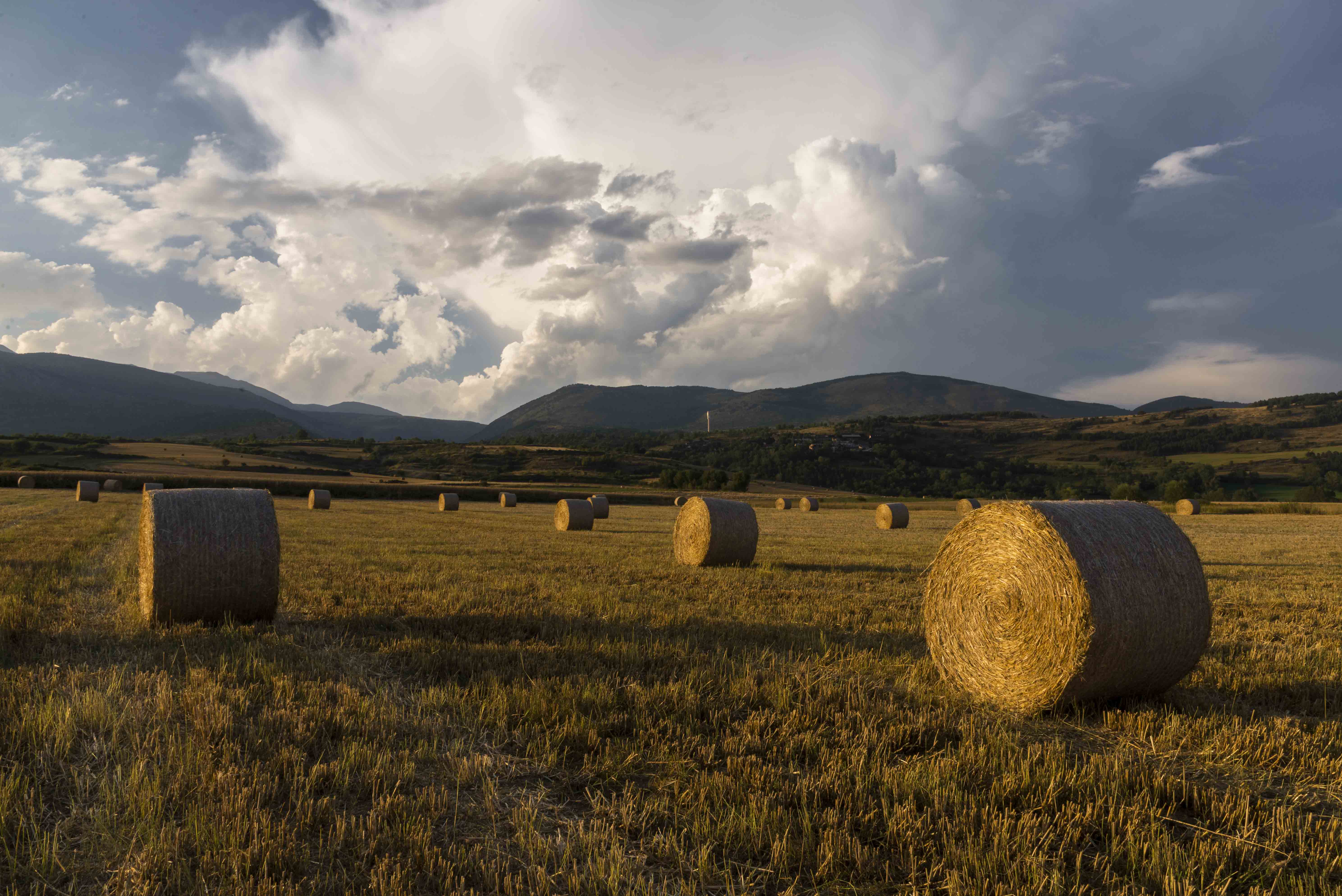 Mantenint la distancia Llívia   La Cerdanya#Emilio Farran Diaz Cano 208