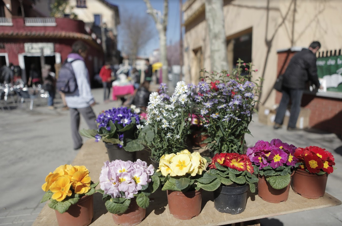 La plaça de Miquel Ros de la Floresta, un espai amb diversitat comercial FOTO: Arxiu