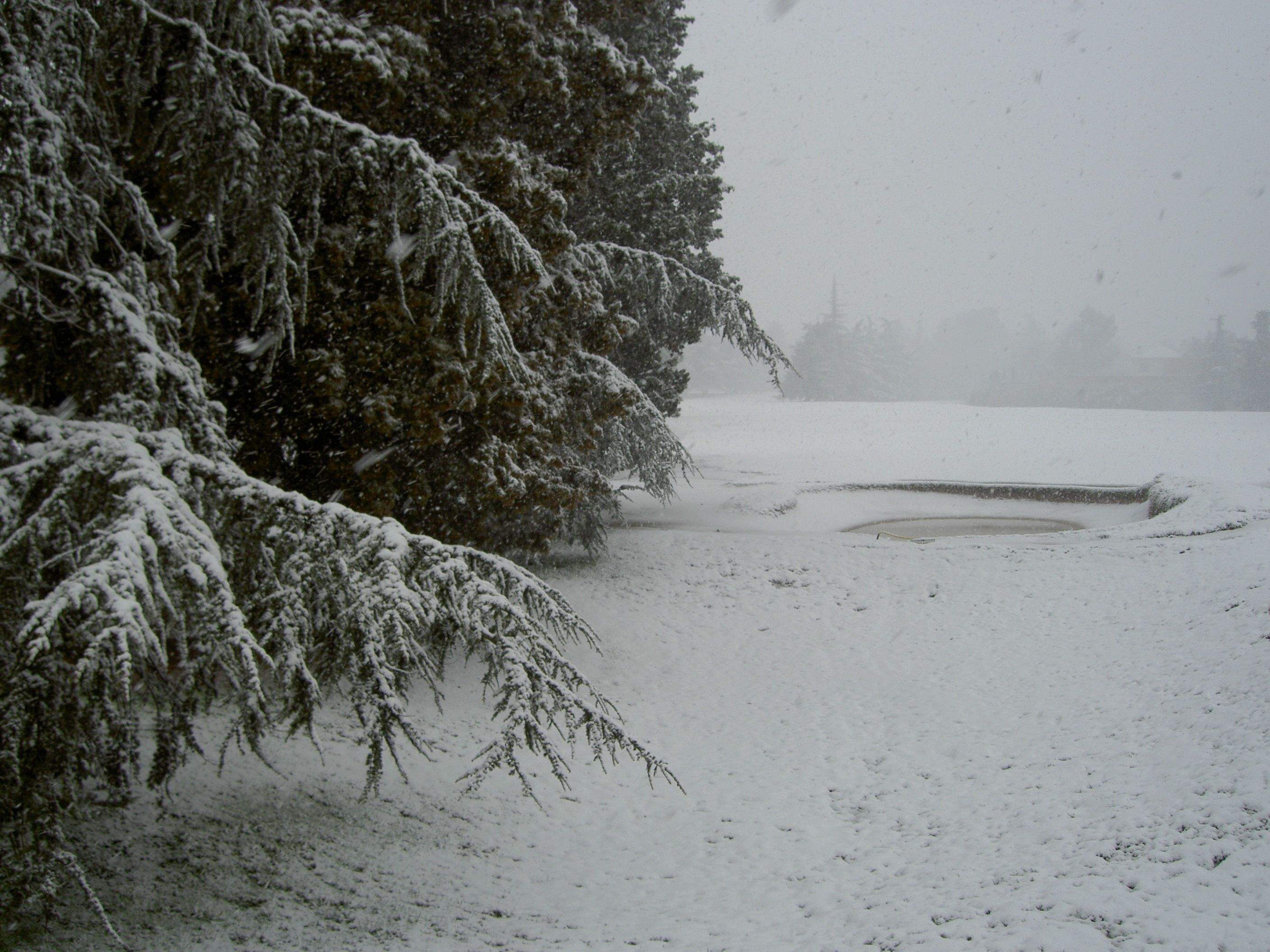 Nevada a Sant Cugat el 2010. FOTO: Andreu Garrell