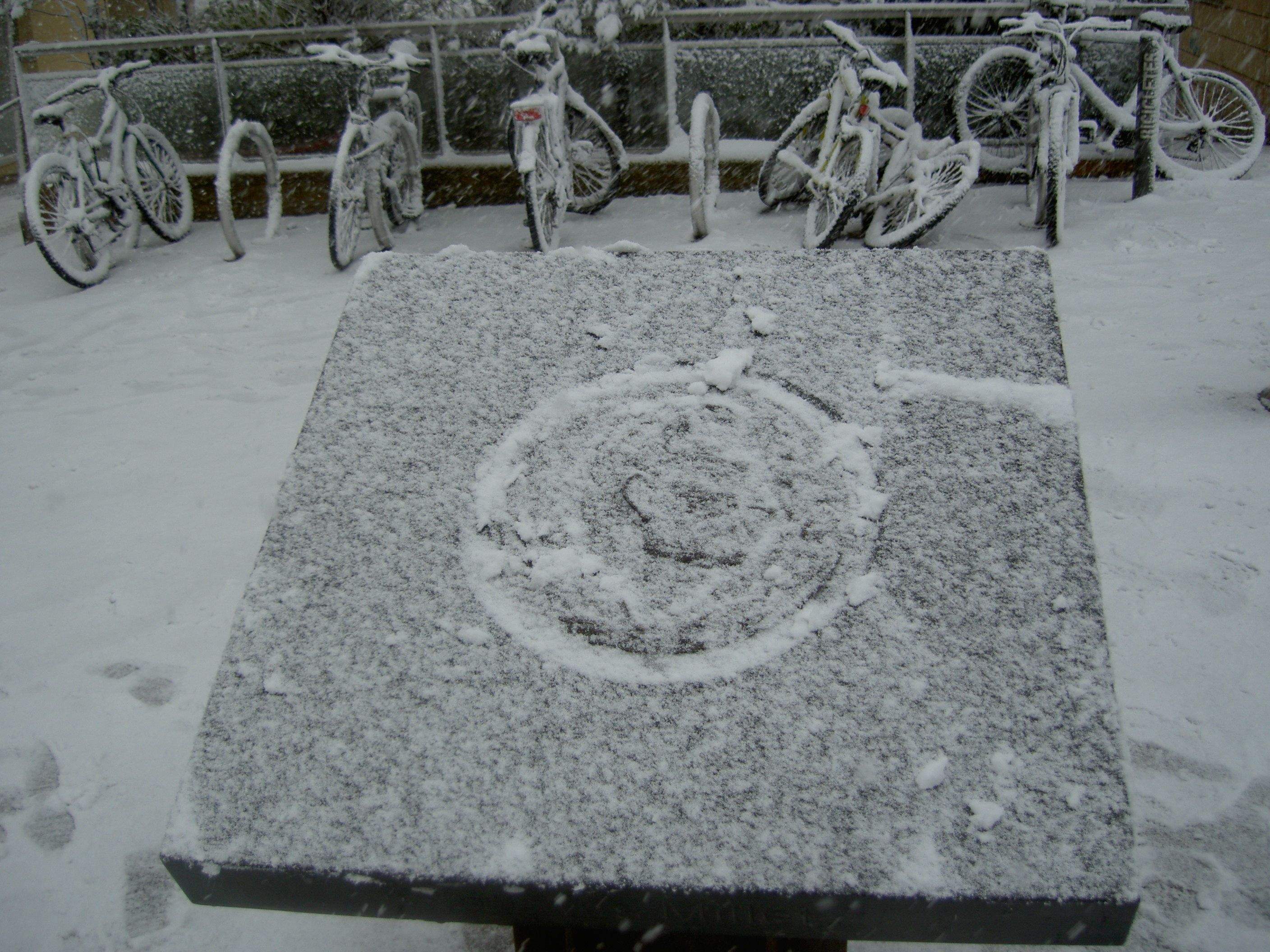 Nevada a Sant Cugat el 2010. FOTO: Andreu Garrell