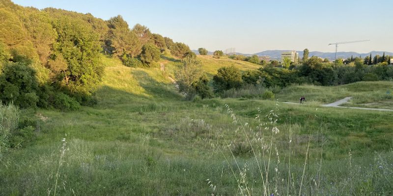 Moltes espècies d'aus no haurien arribat si l’Incasòl s’hagués continuat explotant el terreny com a camp de golf. FOTO: Rubén Cabús