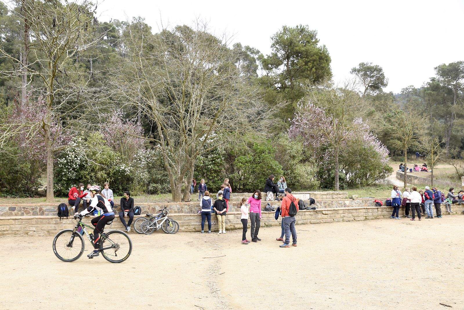 Aplec de Sant Medir. Foto: Bernat Millet.