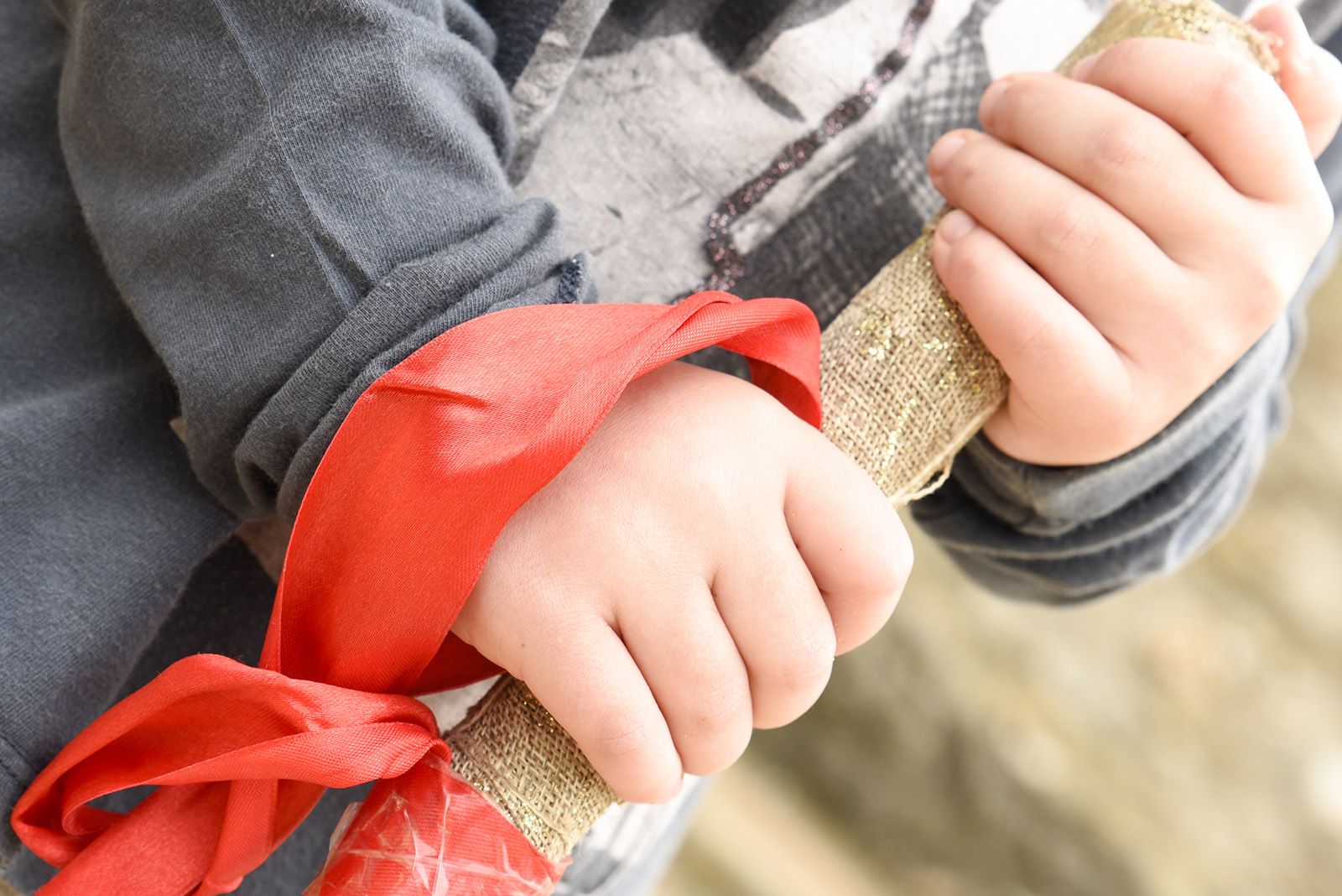 Aplec de Sant Medir. Foto: Bernat Millet.