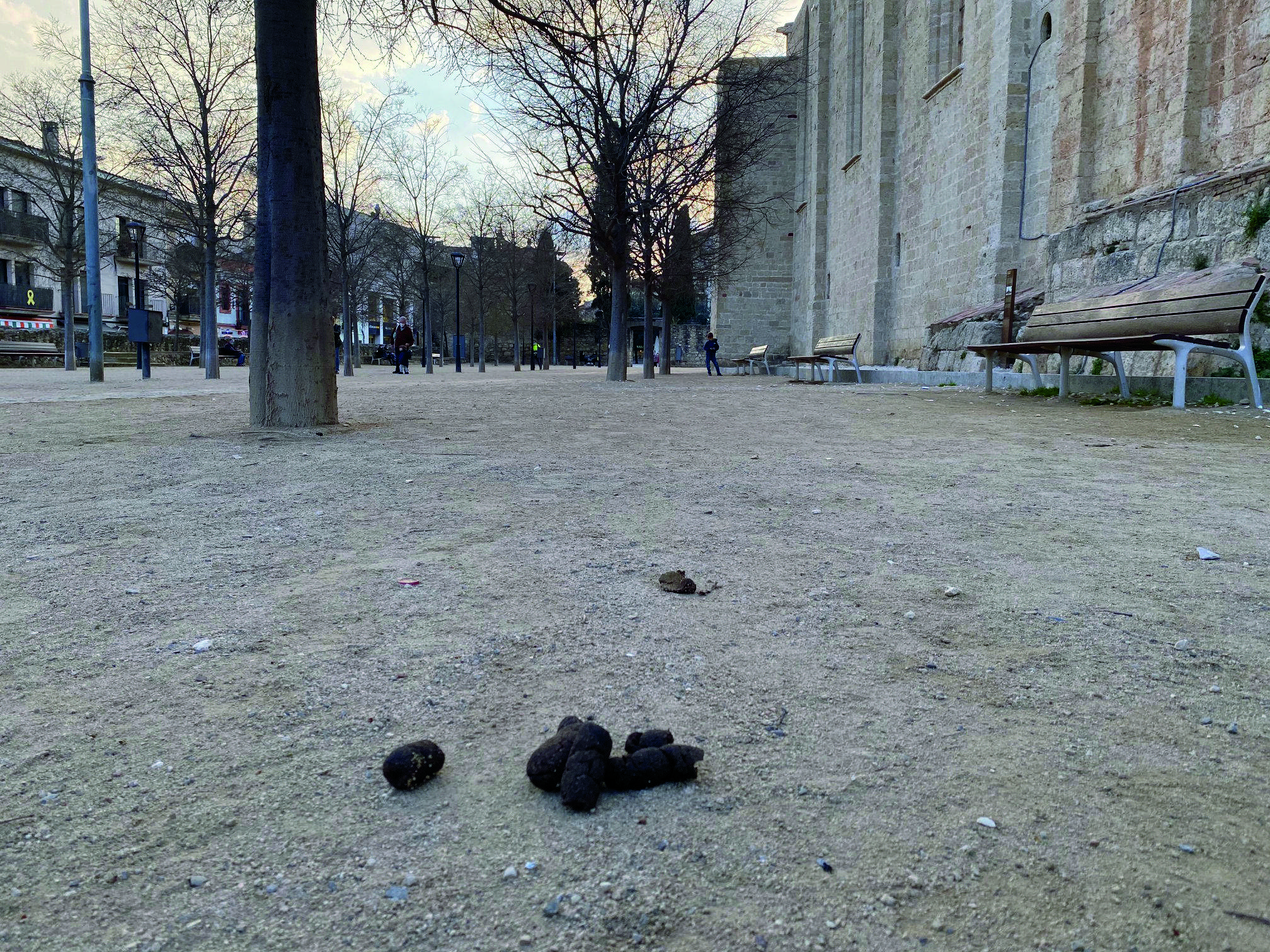 Les caques al carrer, una xacra que costa molt d’erradicar.FOTO: JR Armadàs