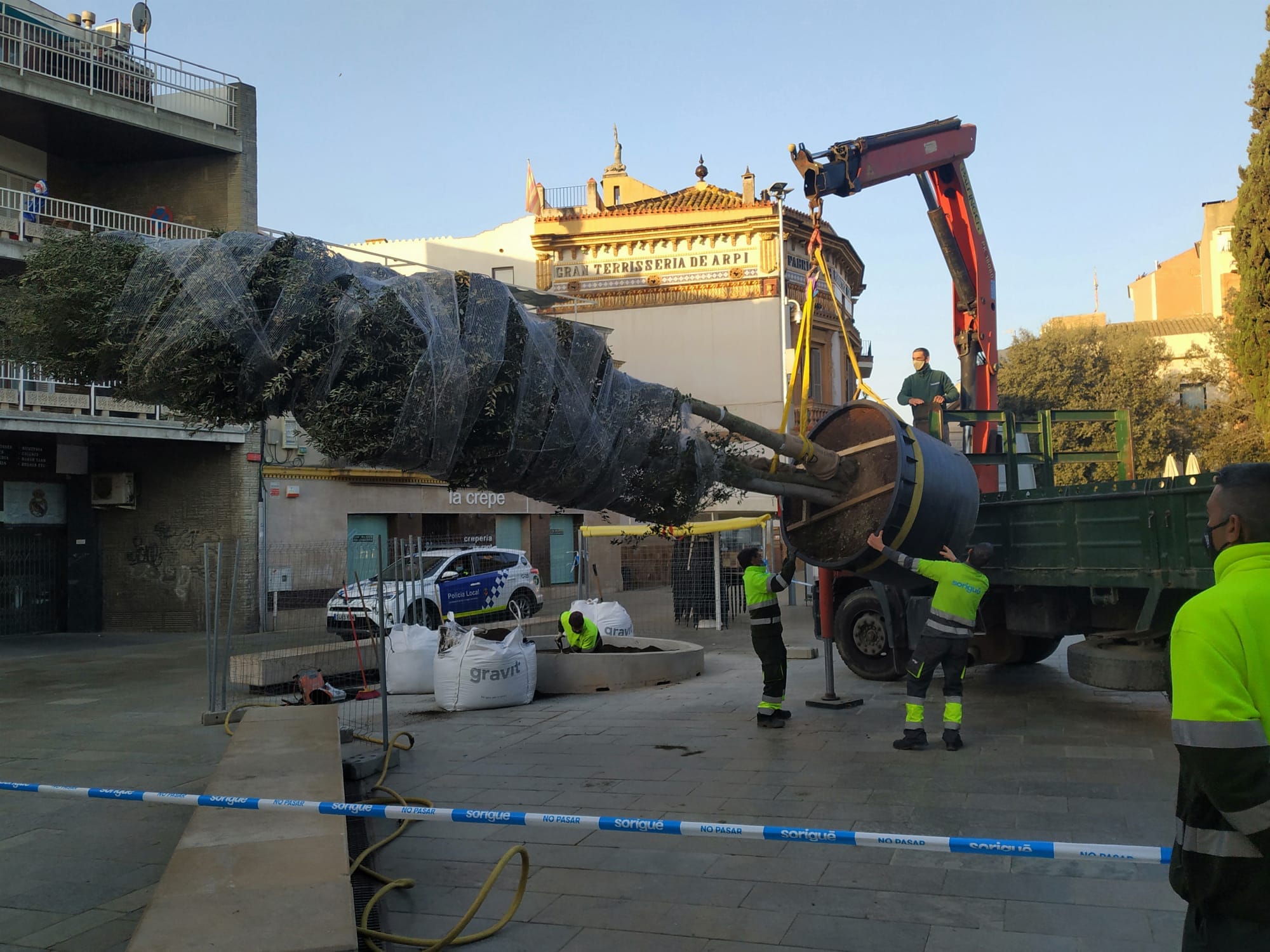 L'Ajuntament planta una alzina per substituïr la que va retirar. FOTO: CEDIDA