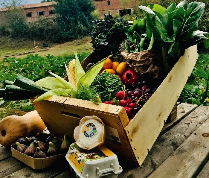  Camp de ‘L’Ortiga’, dedicada a la producció ecològica des del 2009. FOTO: Cedida