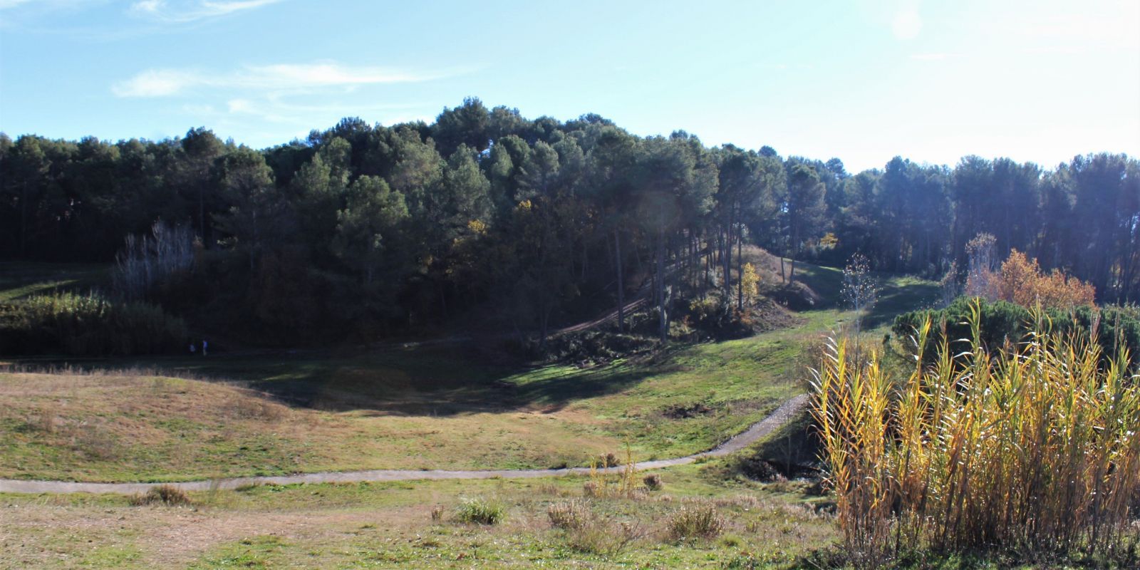 Camp de golf de Can Sant Joan. FOTO: AMM