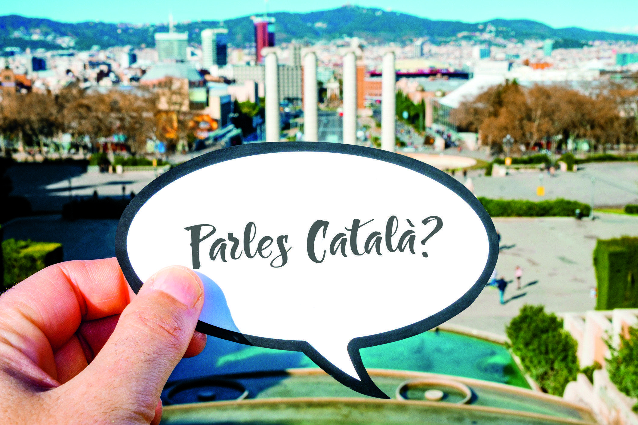 Servei Local del Català