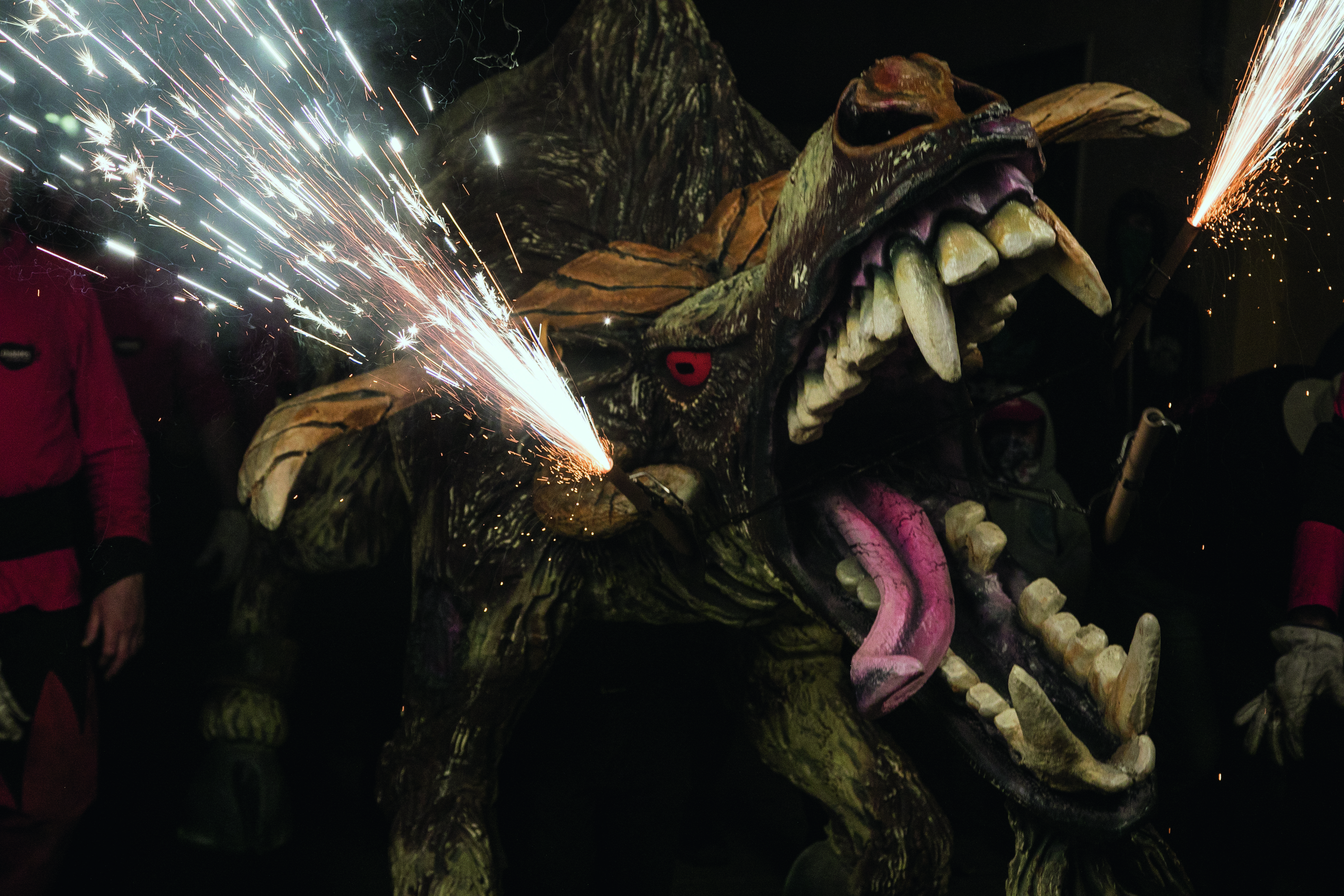 Fotografia de la portada. FOTO: Lali Puig