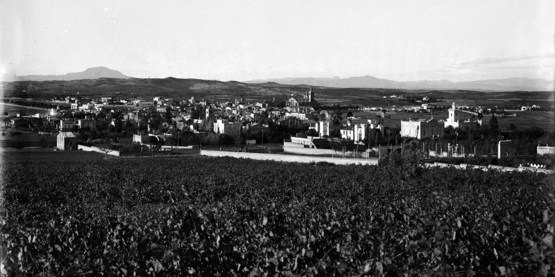 Fotografia dels camps de vinyes de l’actual eixample, a l’avinguda de Gràcia. Es pot apreciar la masia de Can Quitèria, al fons. Anys 30. FOTO: Arxiu / Cedida