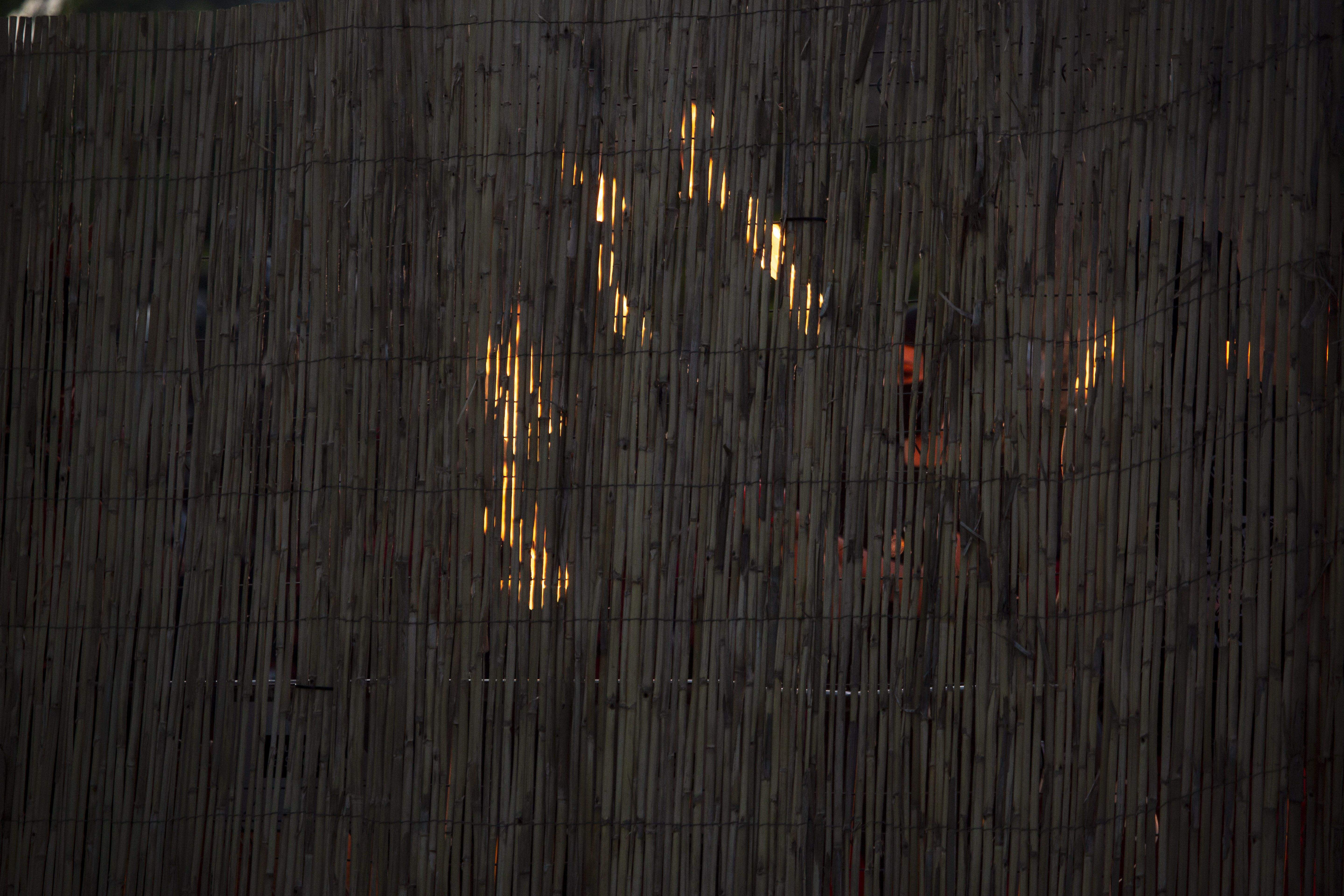 Els Diables han sortit al carrer amb la Trobada de Bèsties. FOTO: Àngel Bravo