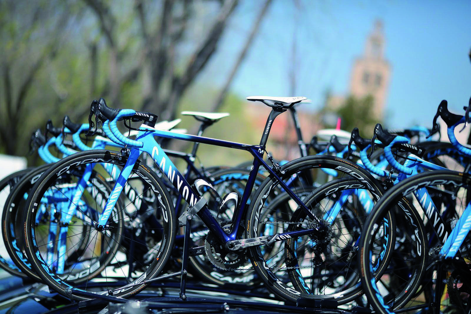 Imatge de la portada del TOT 1773. FOTO: Artur Ribera