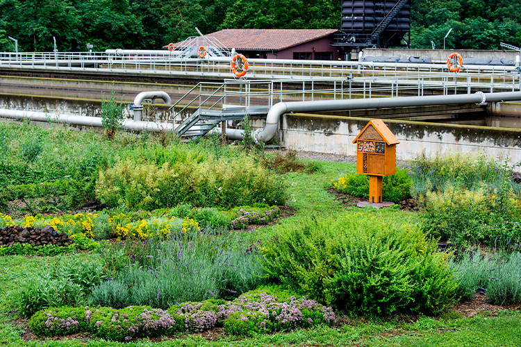 L’any 2030 és la data límit que els científics consideren crítica per evitar els pitjors impactes del canvi climàtic. FOTO: Cedida