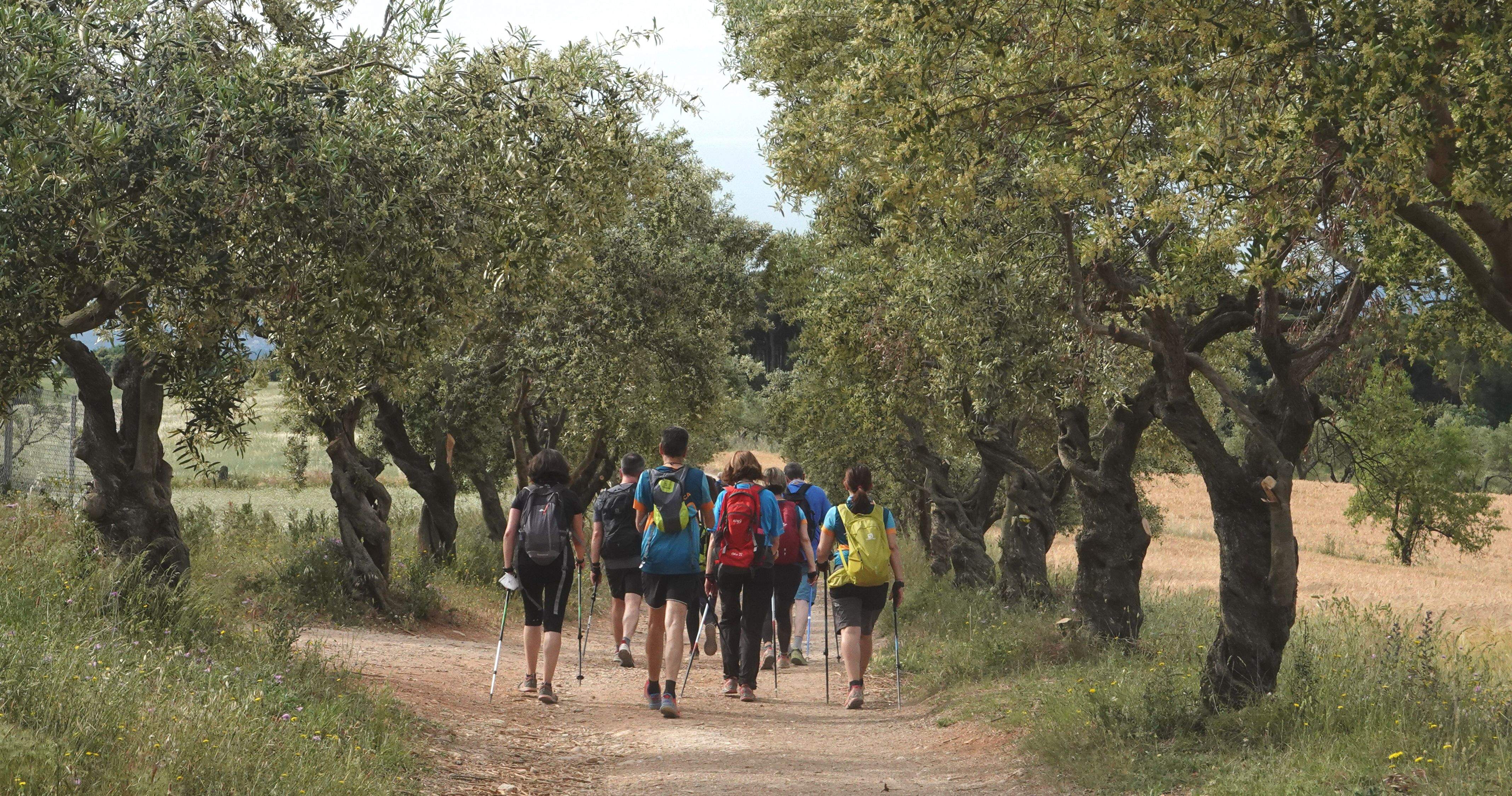 Punt de sortida de la 10a Marxa Corredor Verd del Vallès. FOTO: Amit Gayà.