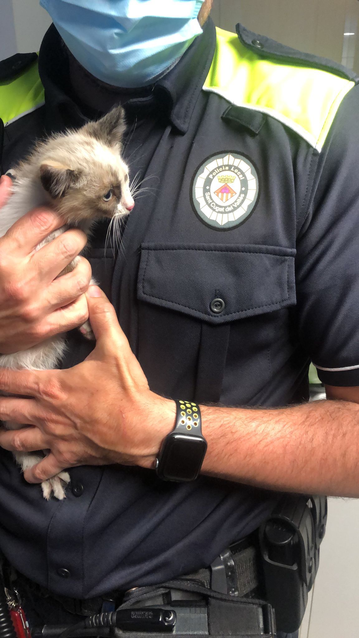 Un agent de la Policia Local amb el gat rescatat FOTO: Cedida 