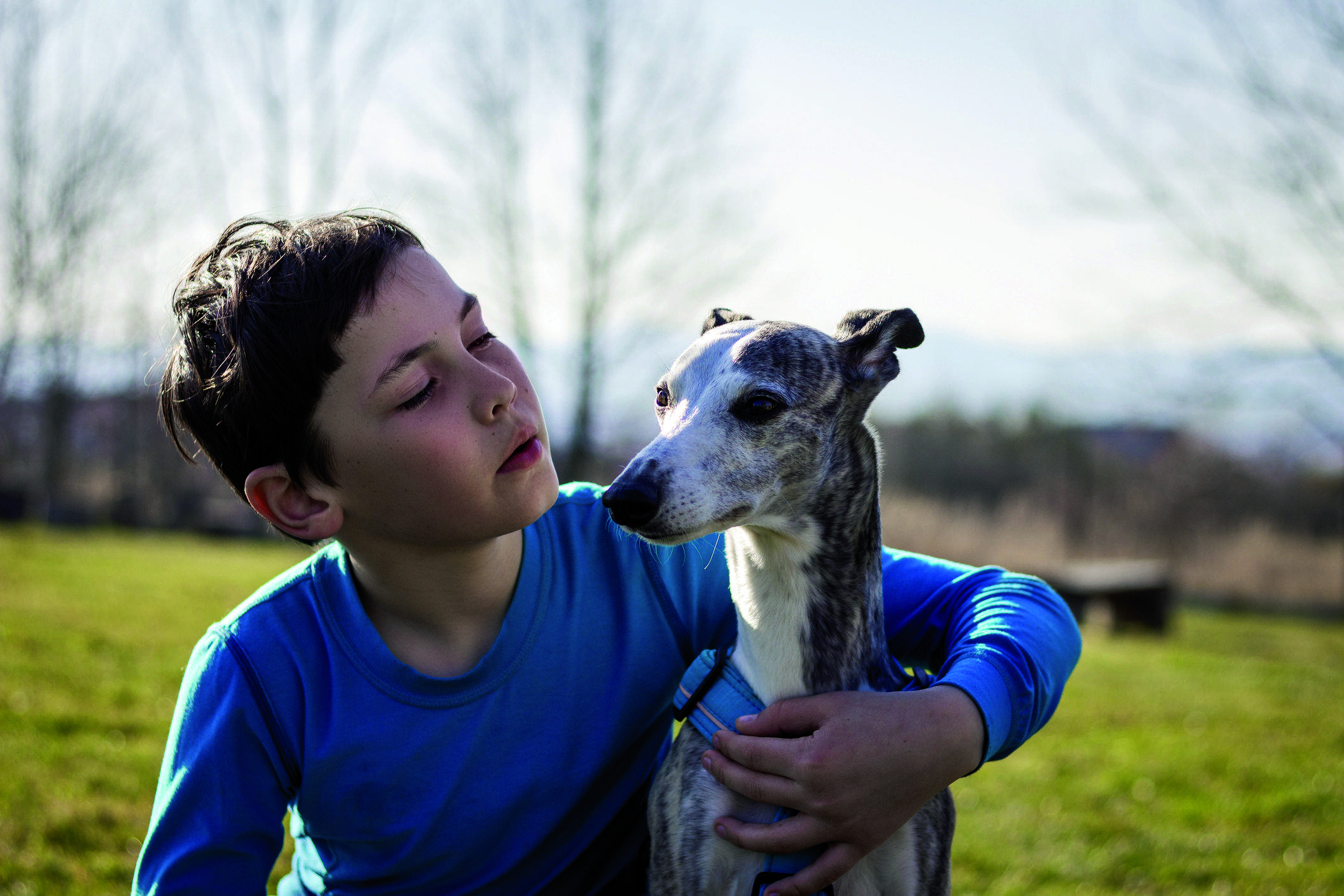 Els animals perceben l'afecte. FOTO: istock.com