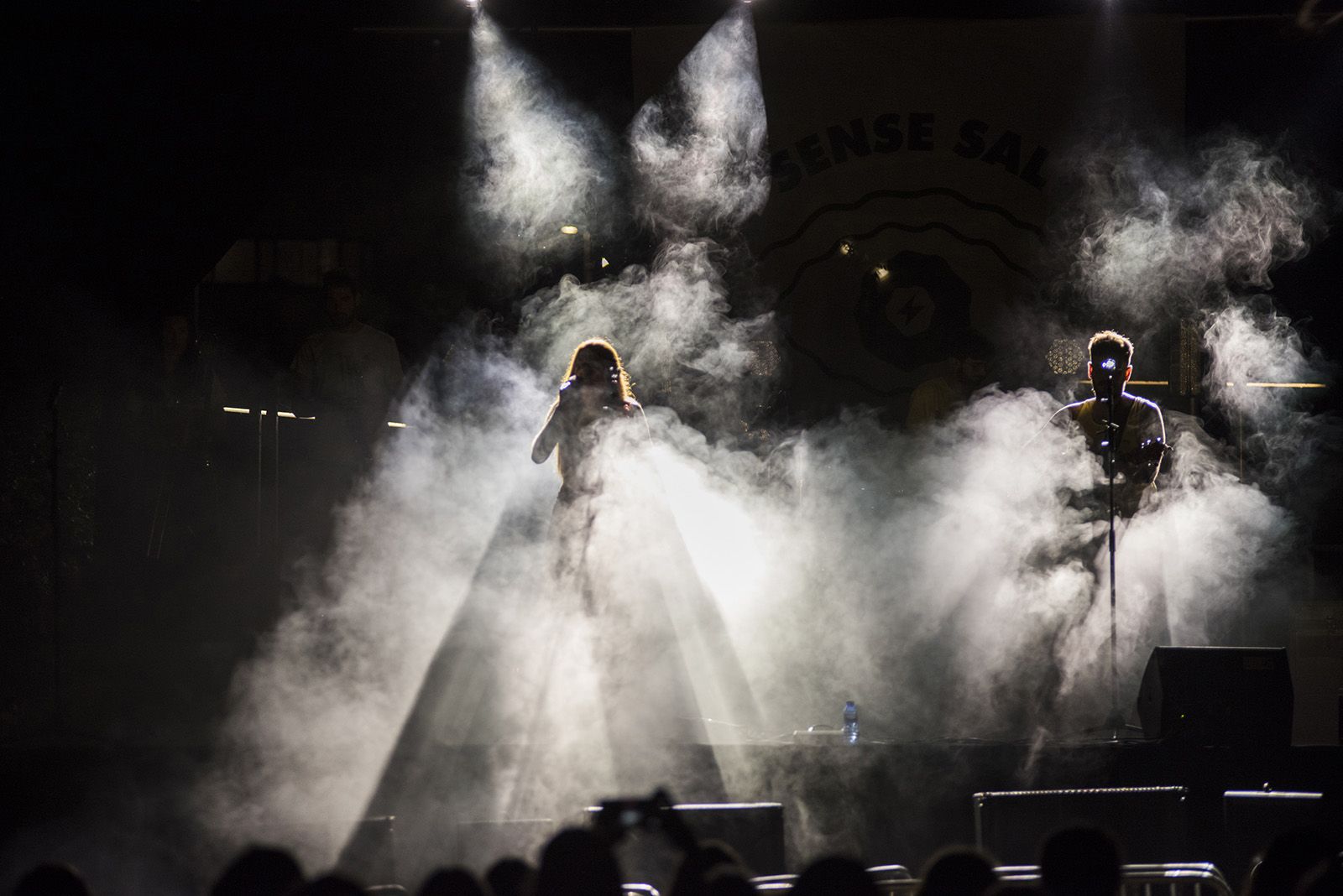 Sense sal, en concert. Foto: Bernat Millet.