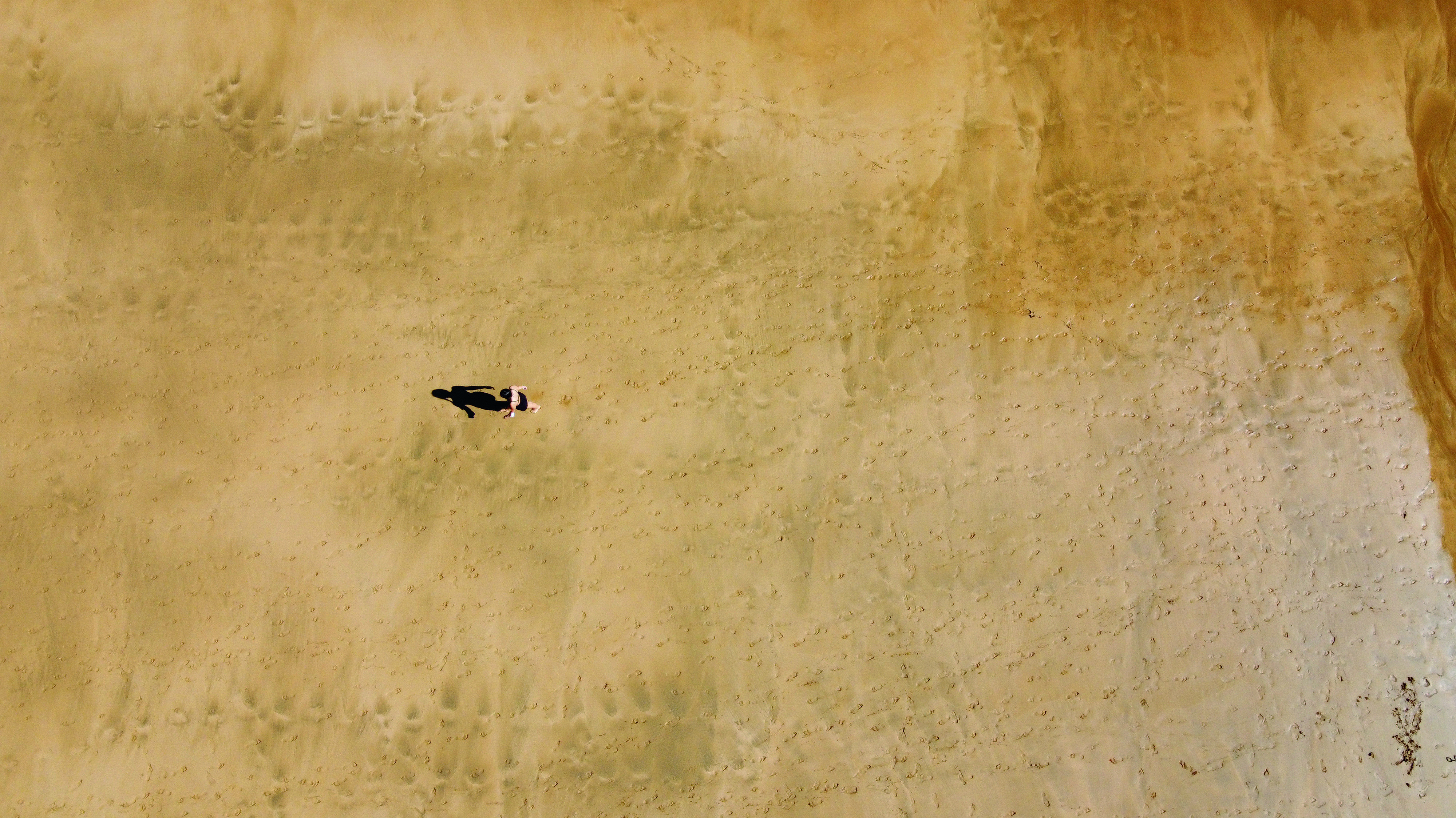 Portada del TOT 1781