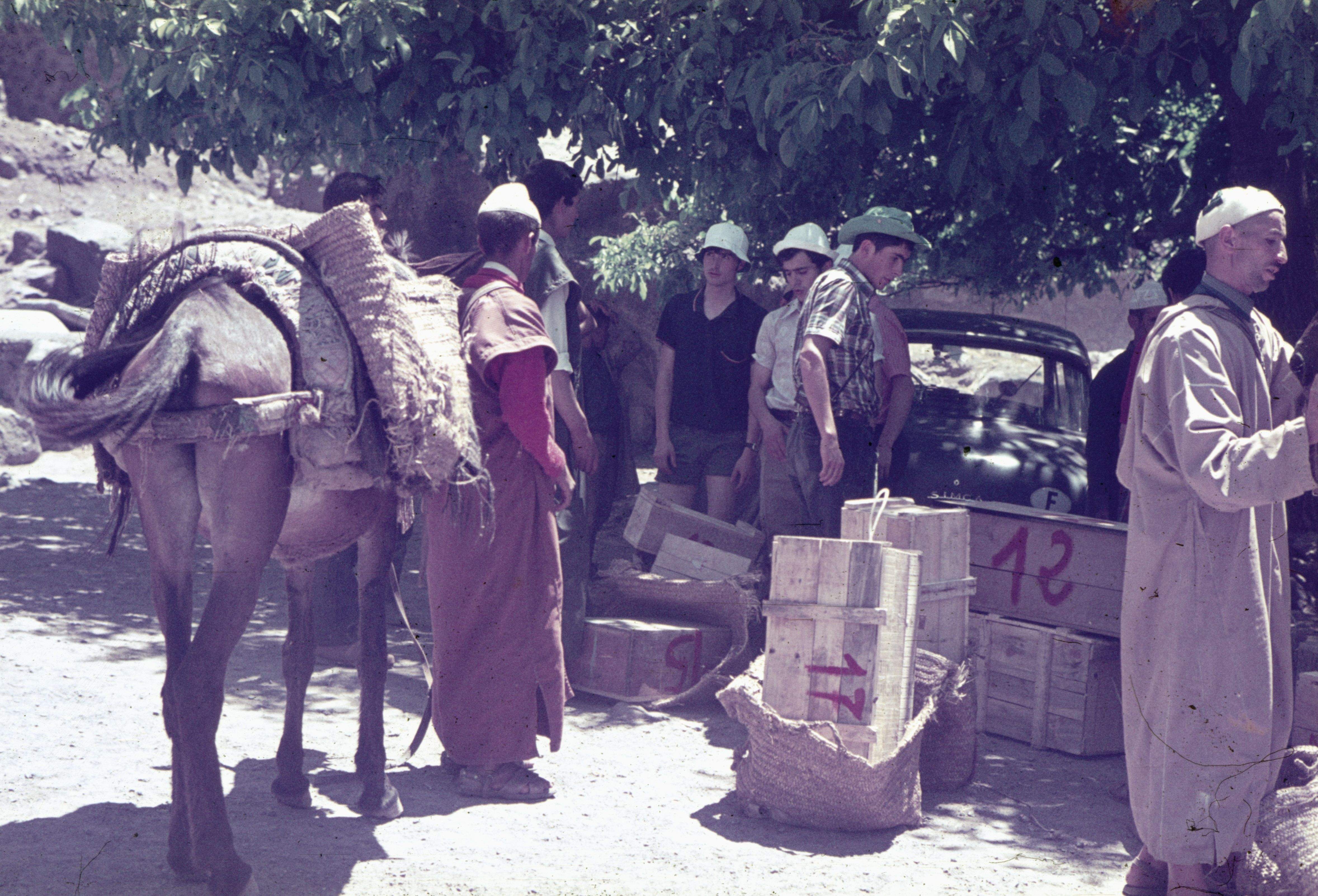 carregant els rucs a Imlil