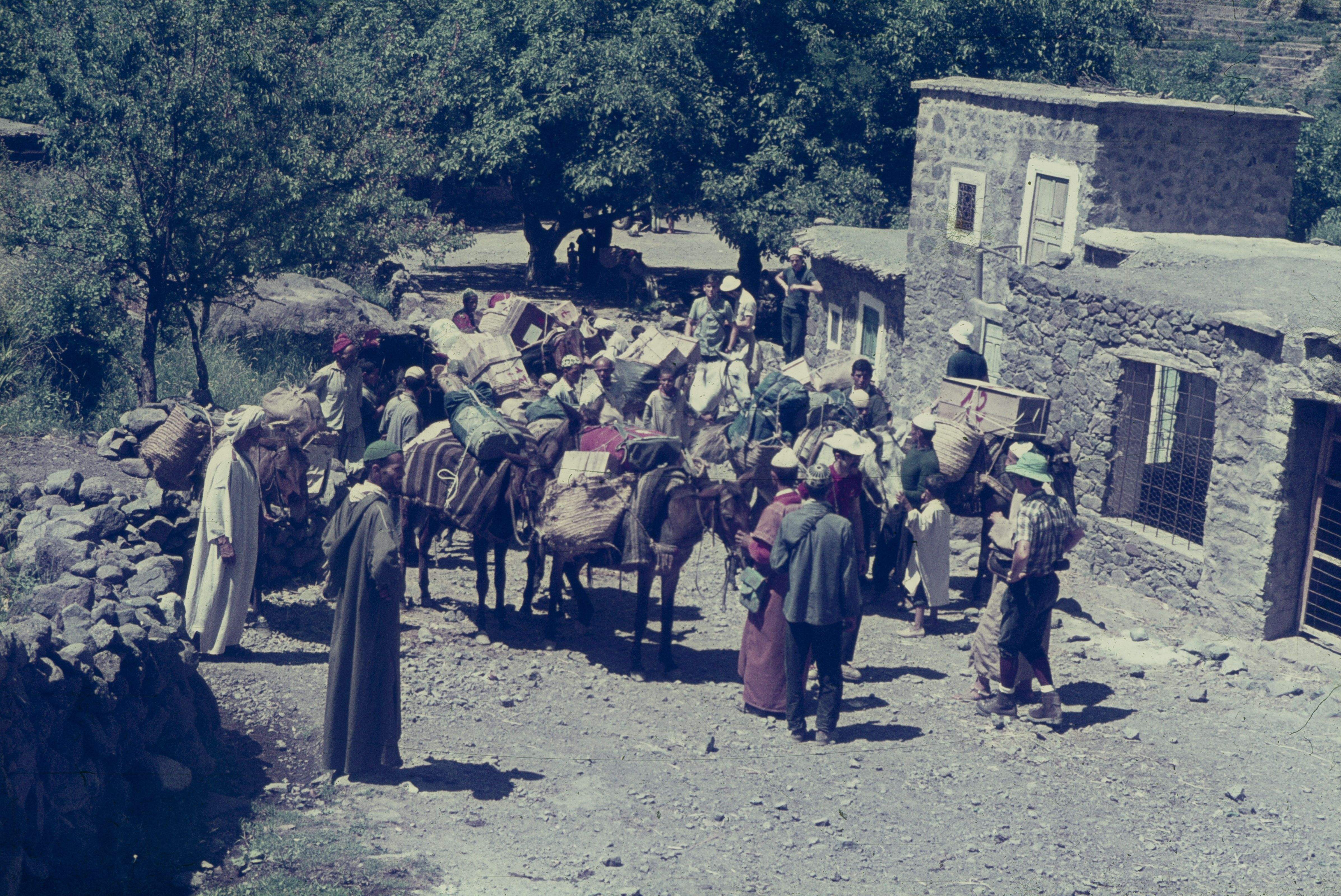 Camí al refugi Neltner amb les mules de càrrega