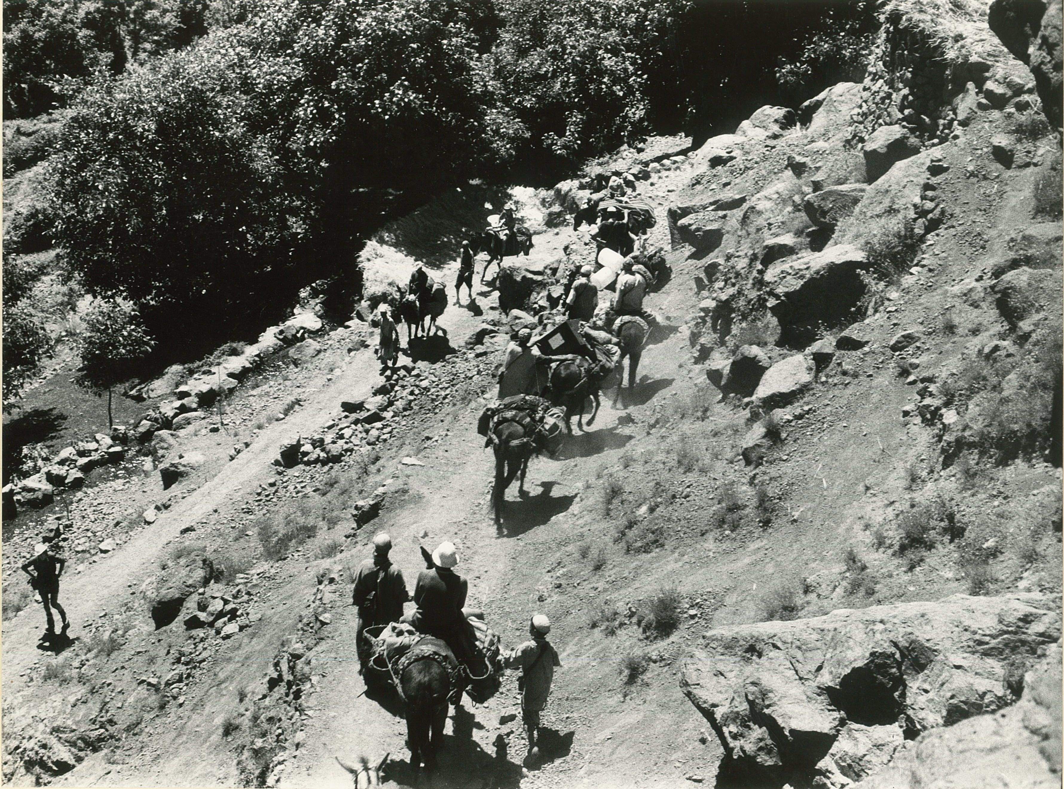 Descens a Imlil amb les mules de càrrega