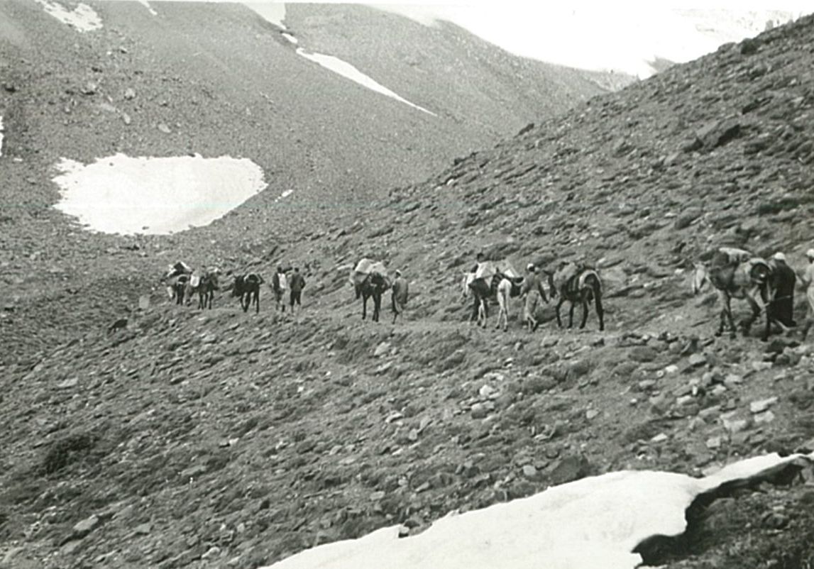 Descens a Imlil amb les mules de càrrega