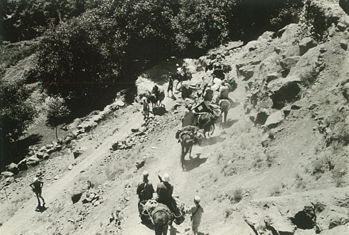 Descens a Imlil amb les mules de càrrega