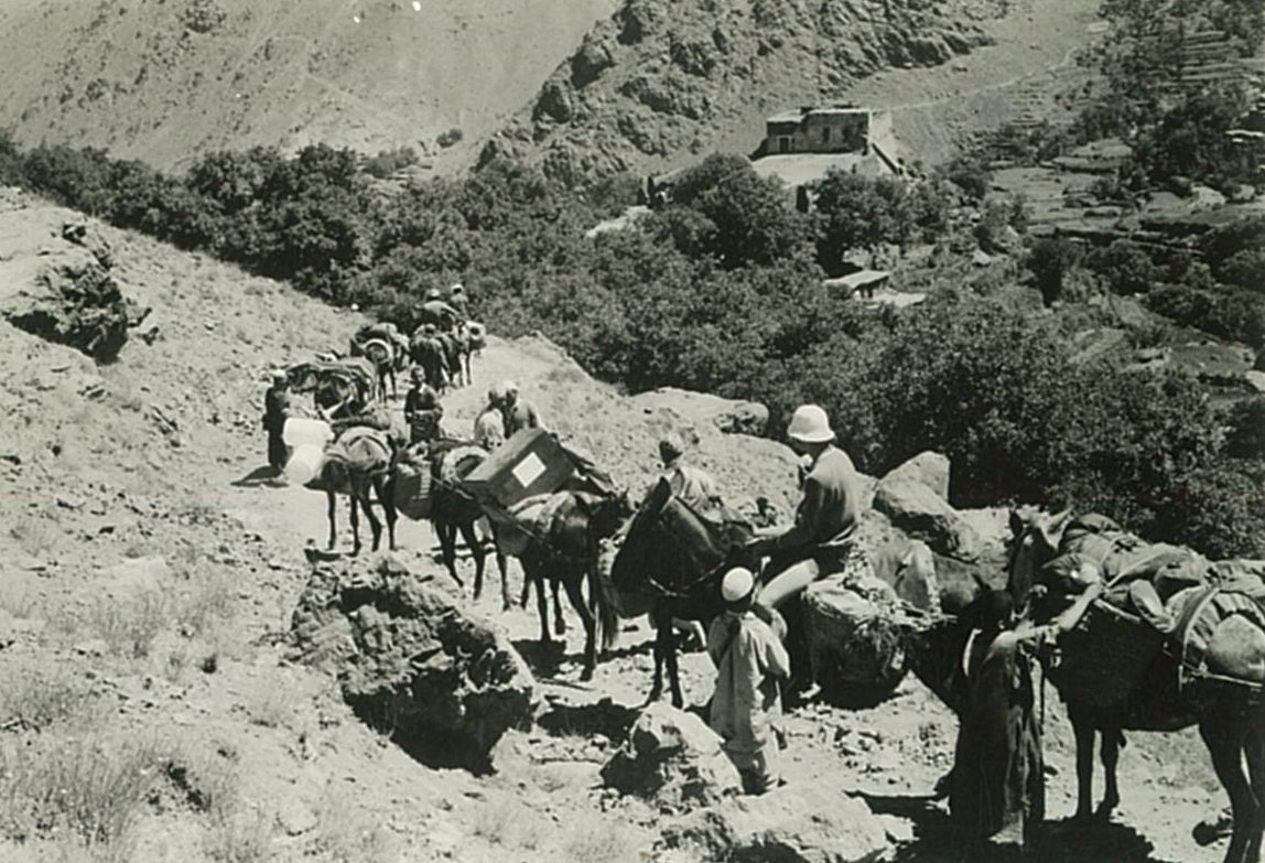 Descens a Imlil amb les mules de càrrega