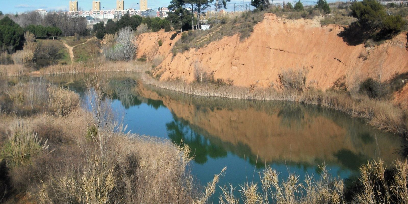 La bassa o estany dels Alous en el 2016. FOTO: Jordi Vilalta