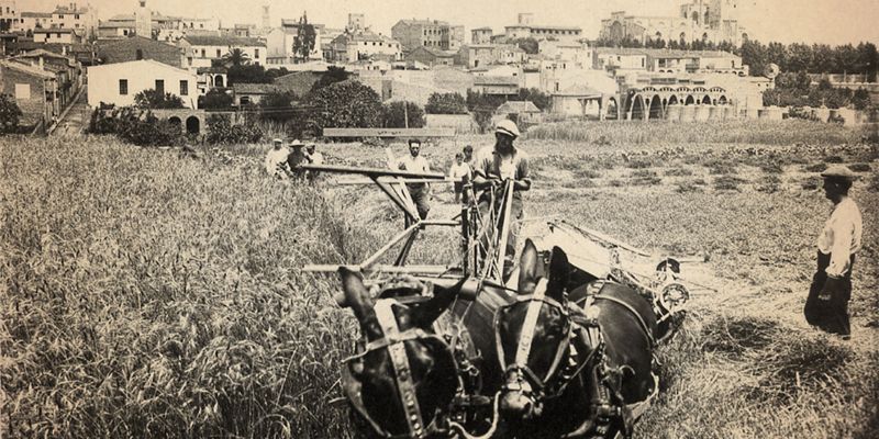 Camp del Tio Malo Historia SantCugat