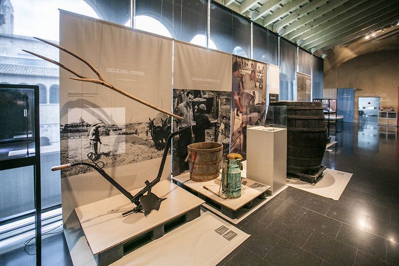 Apartat del Sant Cugat agrícola de l'exposició sobre els 900 anys de la història de Sant Cugat. FOTO: Ajuntament